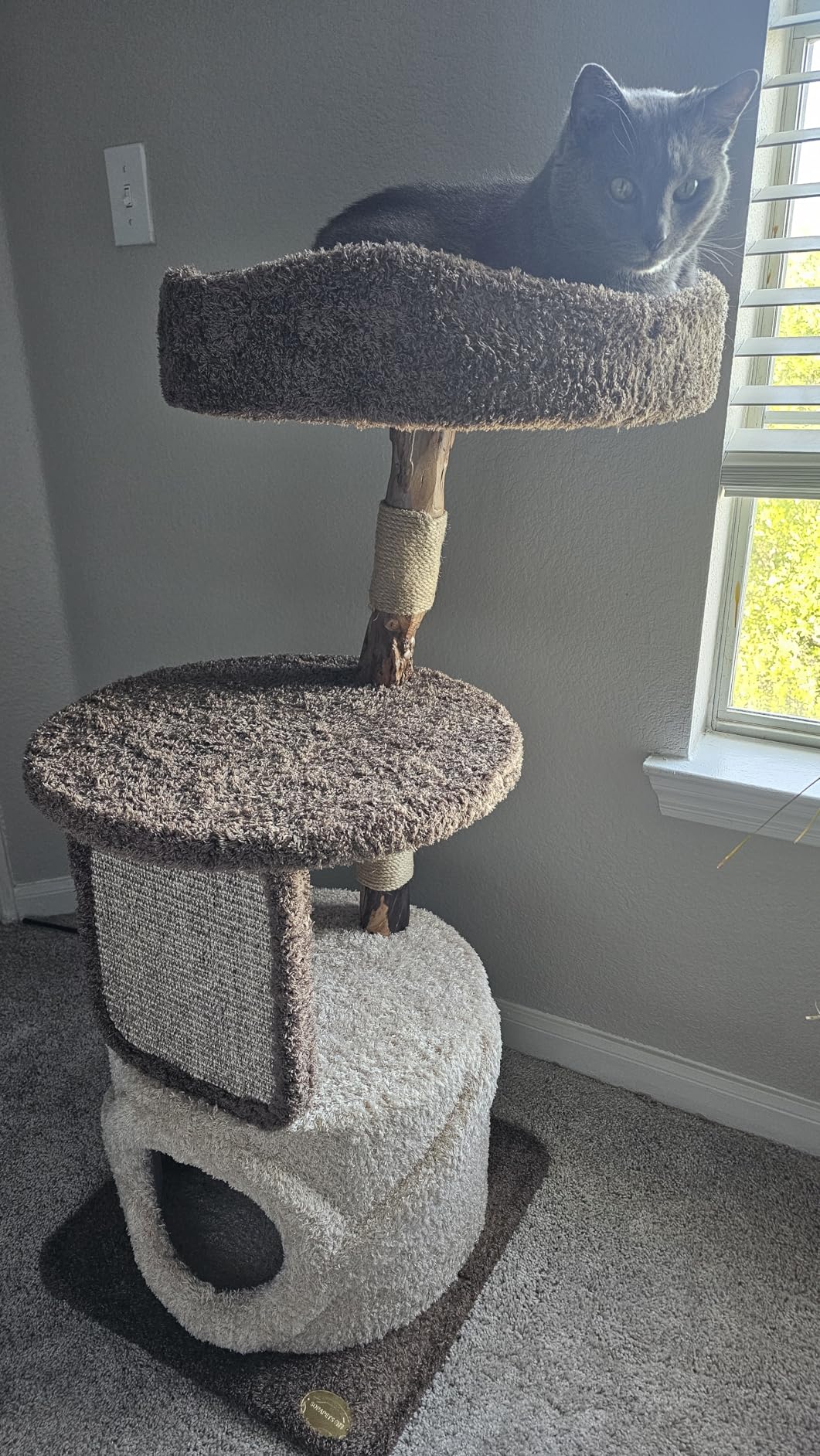 40 Inch Tall Modern Solid Wood Cat Tree Tower for Indoor Cats Large Adult, Sturdy Heavy-Duty Cat Condo with Scratching Post, Perch, Scratcher, Platform, Cozy Hideaway customer photo 2