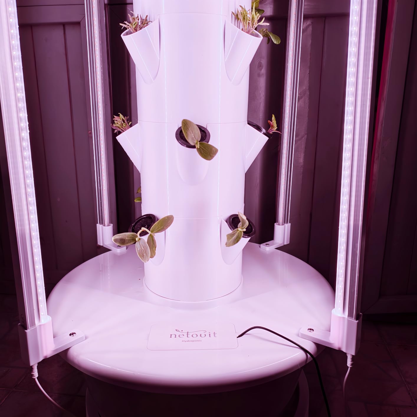 Hydroponics Growing System Kit with LED Grow Lights, 8-Layer Vertical Garden Tower, 32 Pods Large Planting Sites, 8 Gallon Indoor Growing System for Vegetables customer photo 2