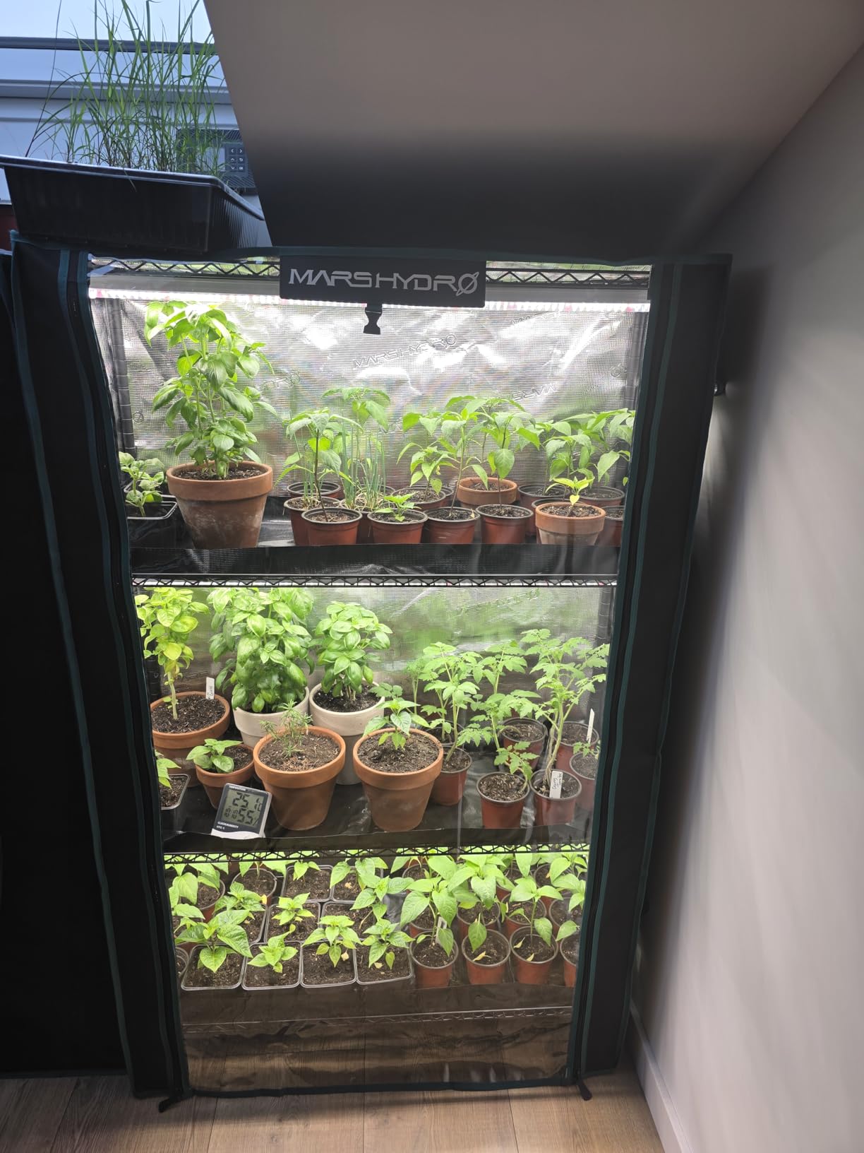 MARS HYDRO 2025 Plant Stand with Grow Lights, 4-Tier Plant Shelf with 6 Full Spectrum LED Lamps (150W, 3ft) & Grow Tent | for Vegetables, Seedlings, Plant Growth customer photo 1
