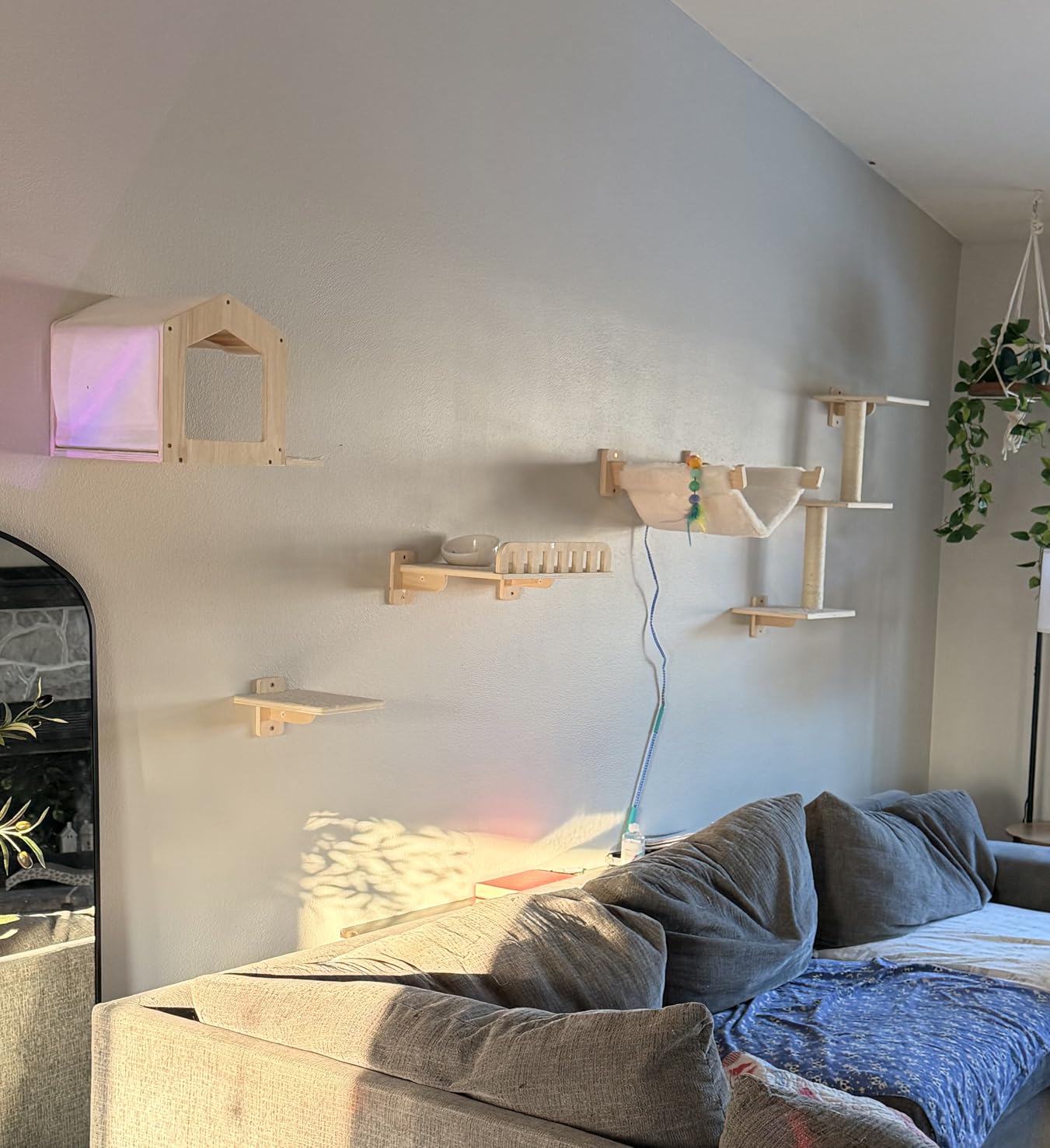 Cat Wall Shelves for Large Cats, 5-in-1 Cat Wall Furniture with Large Hammock and Wide Perch, Wooded Wall Climbing Furniture Set for Indoor Cats customer photo 1