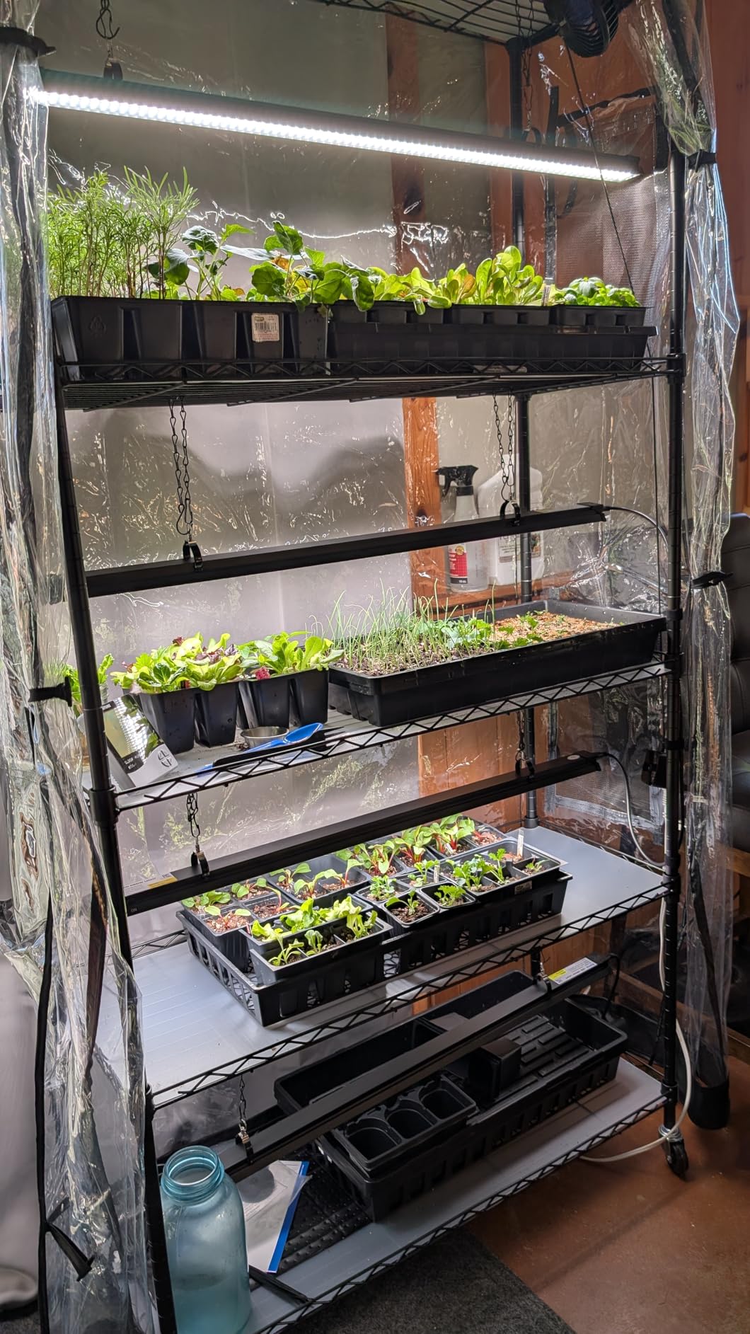 Barrina LP600 Mini Greenhouse with Grow Lights - 5-Tier Plant Stand with 100W Full Spectrum LED Light System customer photo 1