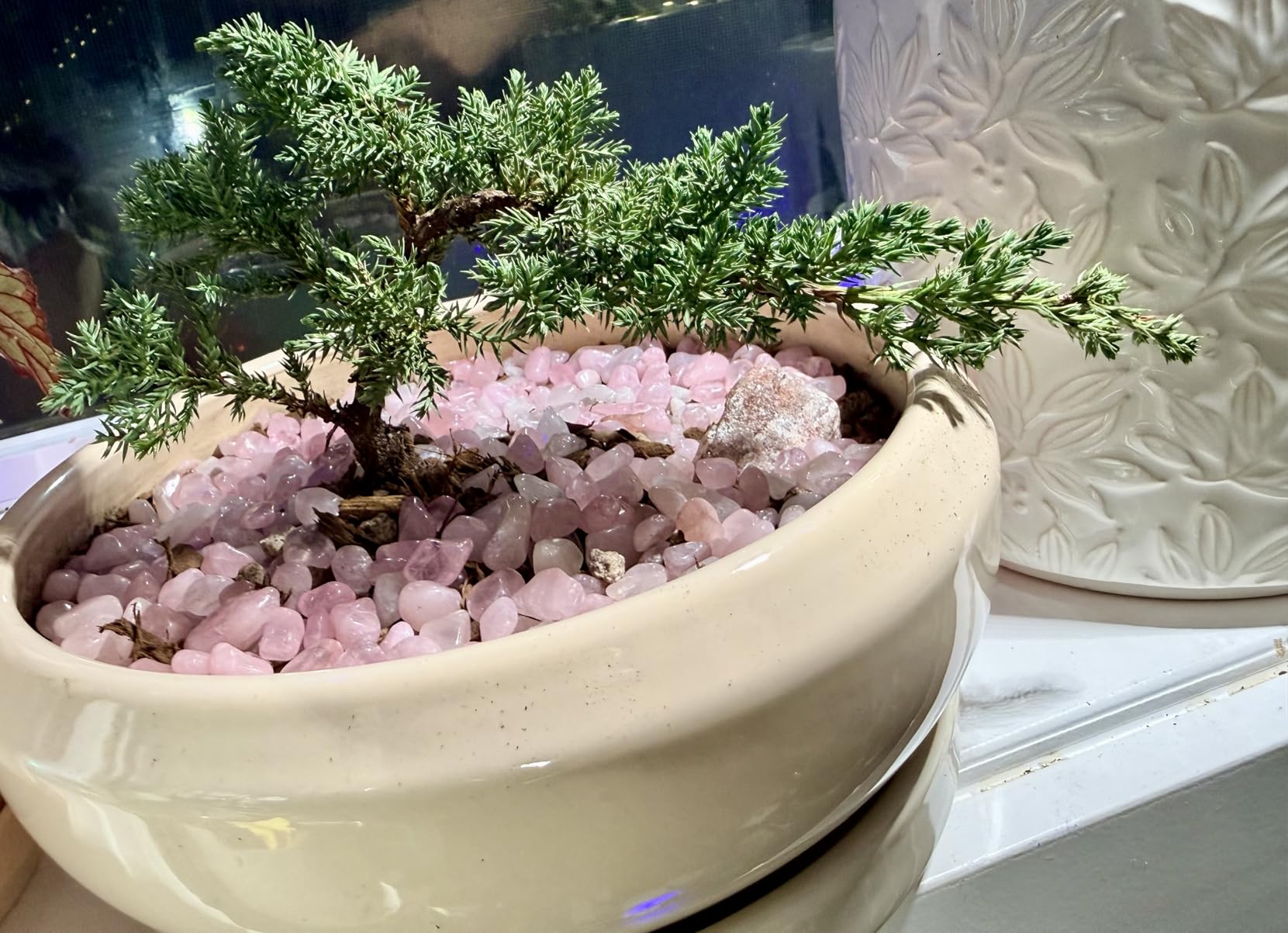 Bonsai Pots - 13 Inch Ceramic Succulent Pots for Indoor Outdoor, Large Succulent Planter with Drainage Hole and Saucer, Round Shallow Flower Planters, Porch Decor, Gardening Gifts, Blue customer photo 1
