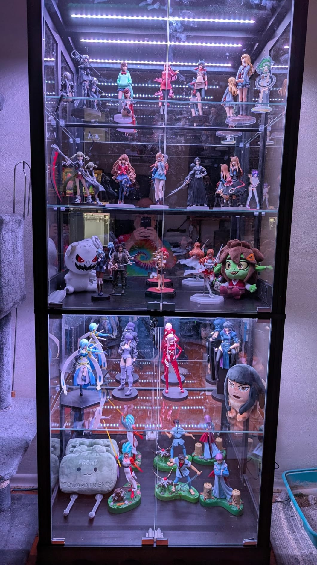 Dystler Display Cabinet with Glass Doors, 71