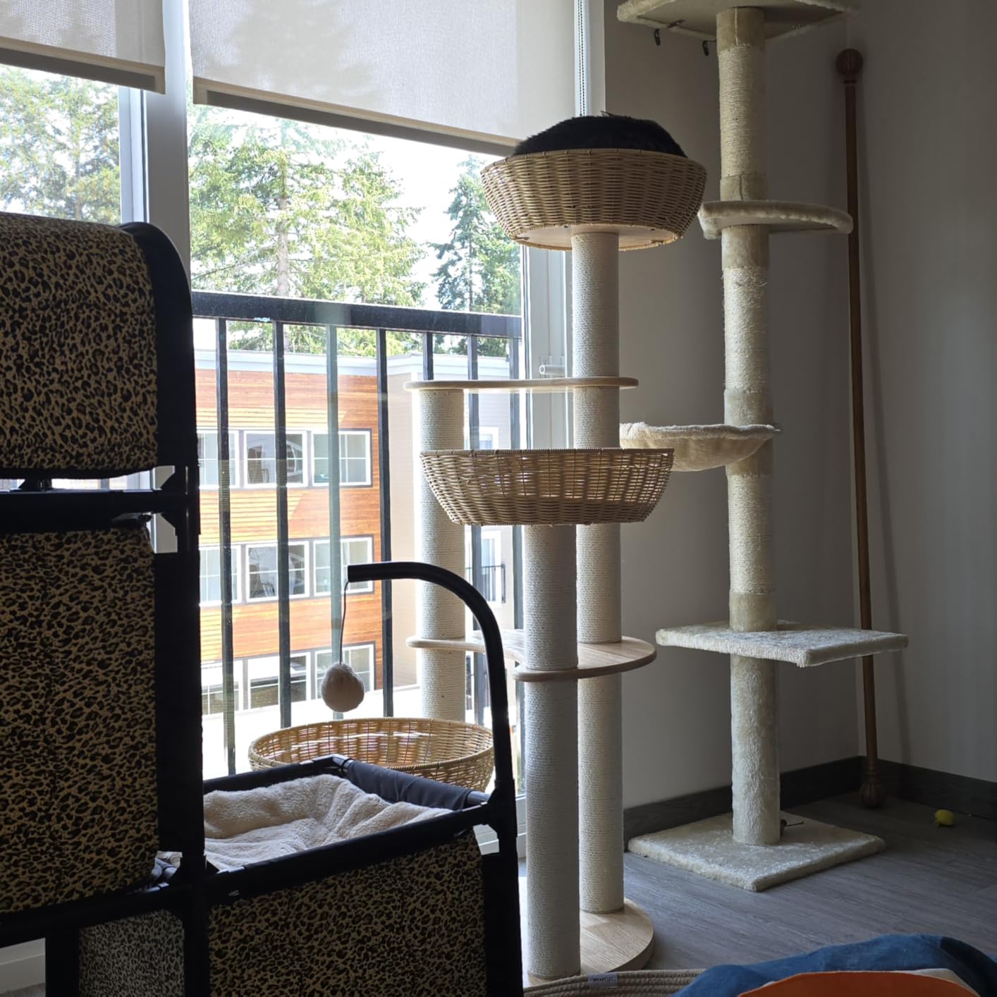 Modern Wood Cat Tree for Large Cats,Luxury Rattan Oak Solid Cat Trees Towers, 3 Weaving Cat Nests & Washable Cushions, Sisal Scratching Posts, Cat Condo for Indoor Cats, Varnish, Easy Clean (Large-O1) customer photo 1