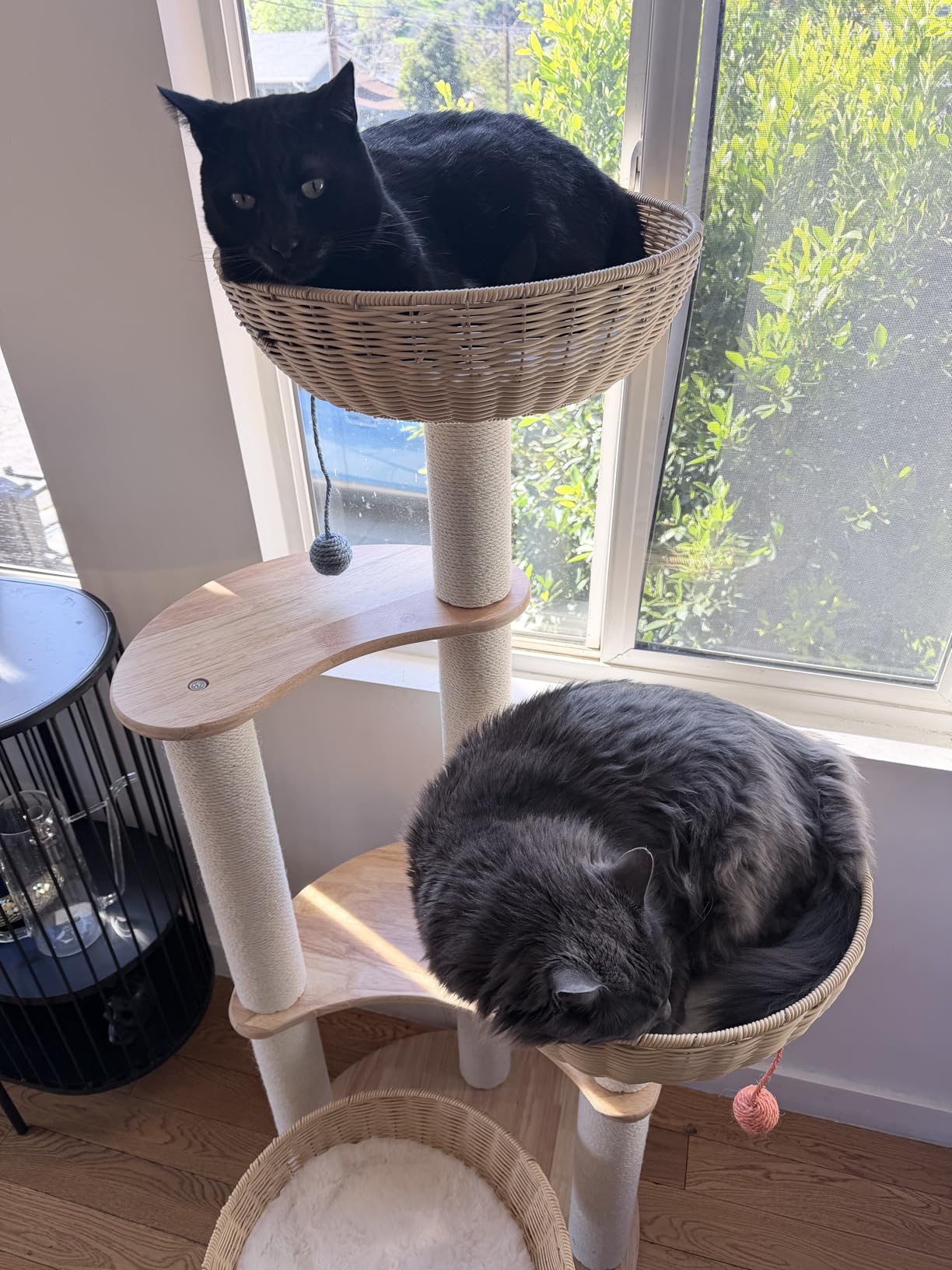 Modern Wood Cat Tree for Large Cats,Luxury Rattan Oak Solid Cat Trees Towers, 3 Weaving Cat Nests & Washable Cushions, Sisal Scratching Posts, Cat Condo for Indoor Cats, Varnish, Easy Clean (Large-O1) customer photo 2