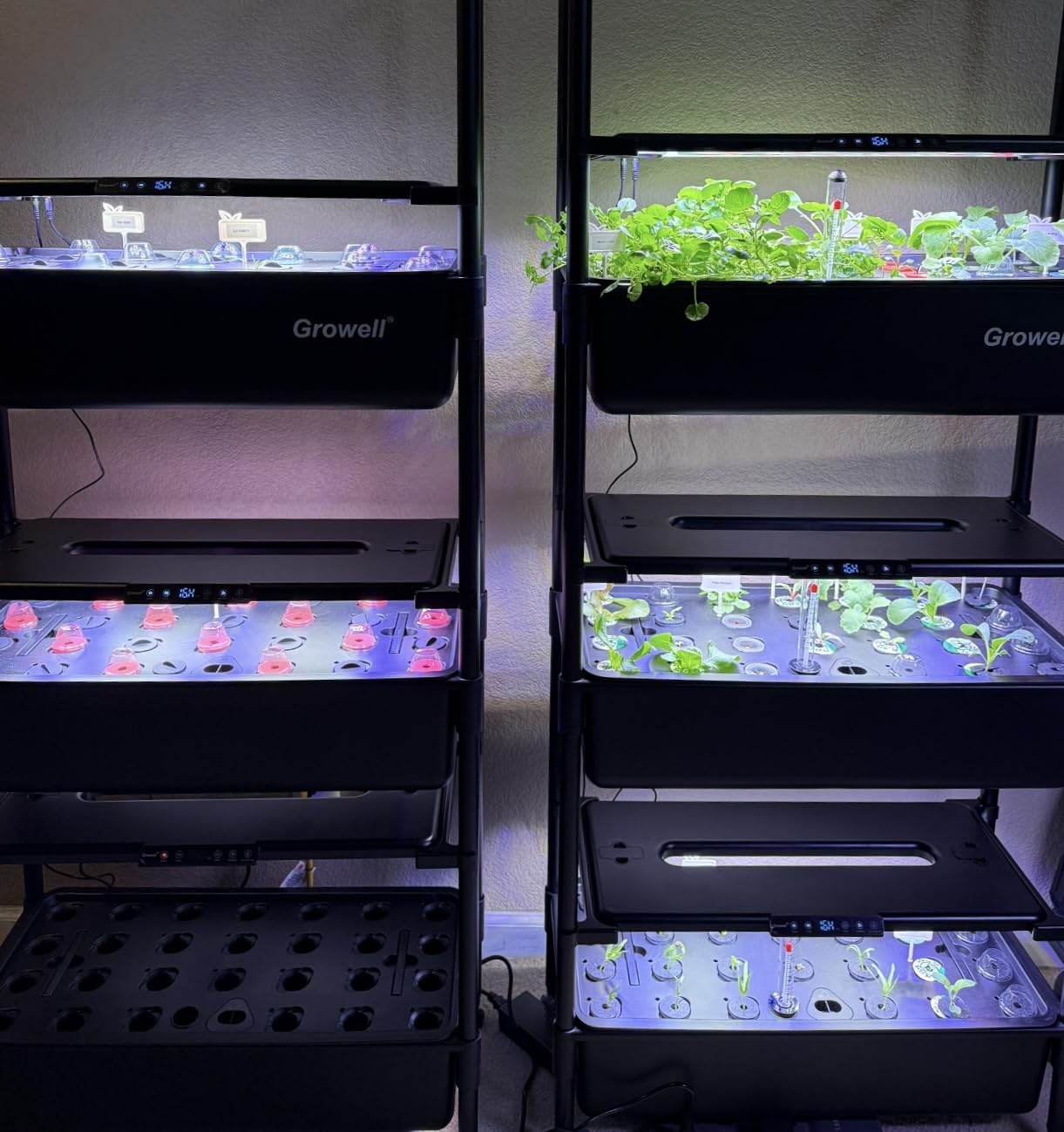 Large Hydroponics Growing System Kit, Vertical Indoor Herb Garden Kit with LED Grow Light & Independent Water Pump, 42L Movable Indoor Planter (3 Tier-81 Pods) customer photo 1