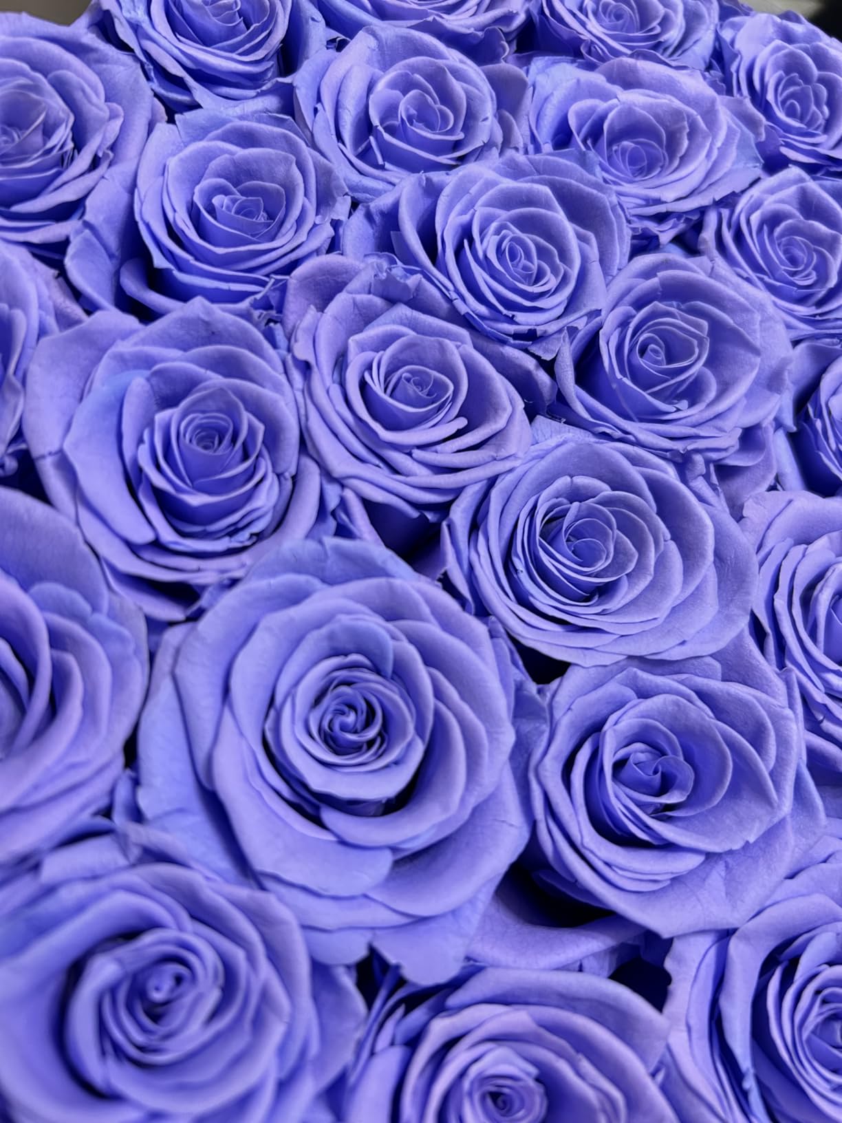 Luxury Preserved Roses Gifts for Women, 100 Roses in Velvet Box, Flowers for Delivery, Presereved Flowers Birthday Gifts for Her Mom and Wife customer photo 1