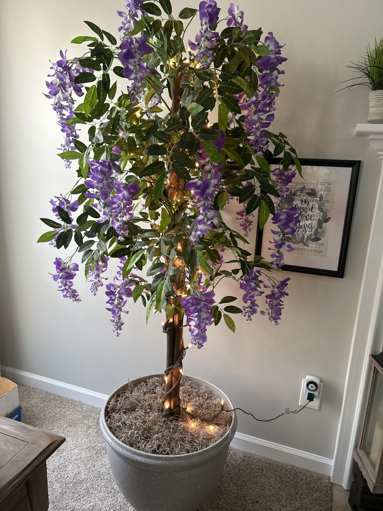 2 Pack 5ft Artificial Wisteria Tree Tall Fake Tree with Cement Base Pot Faux Floor Plant Decoration for Indoor Outdoor Home Office Housewarming Gift(Rosy Pink) customer photo 1
