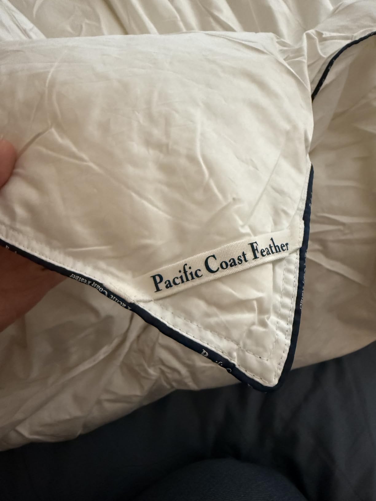 Pacific Coast Premium Goose Down Fiber Comforter King Size, 420TC 100% Australian Cotton Shell, All-Season Comforter with Hidden Baffle Box & Double-Stitched Piping (106
