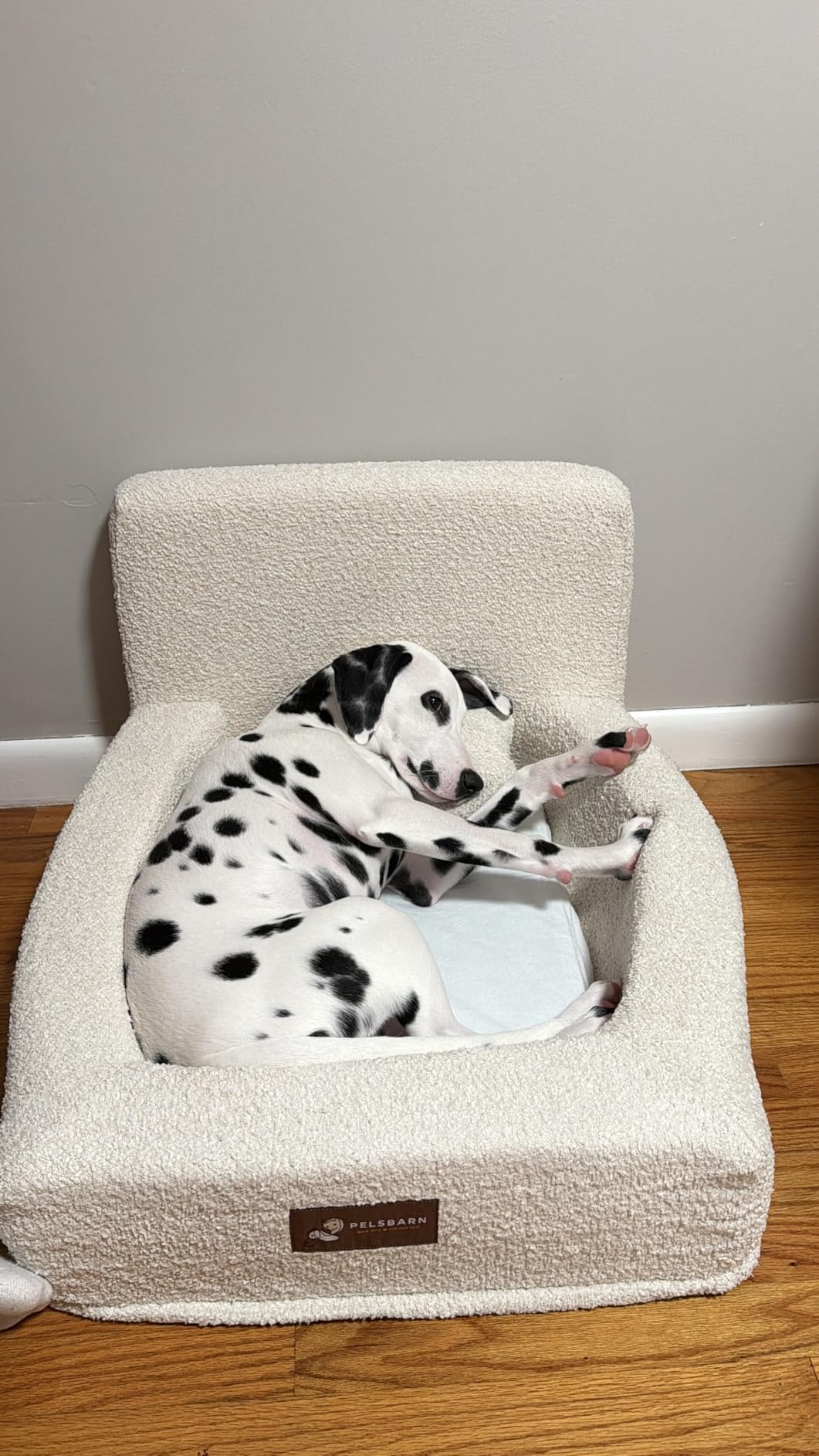 Pelsbarn Real Orthopedic Dog Bed, High-Density Memory Foam with Waterproof Fitted Sheets - Machine Washable, Large, Beige customer photo 2