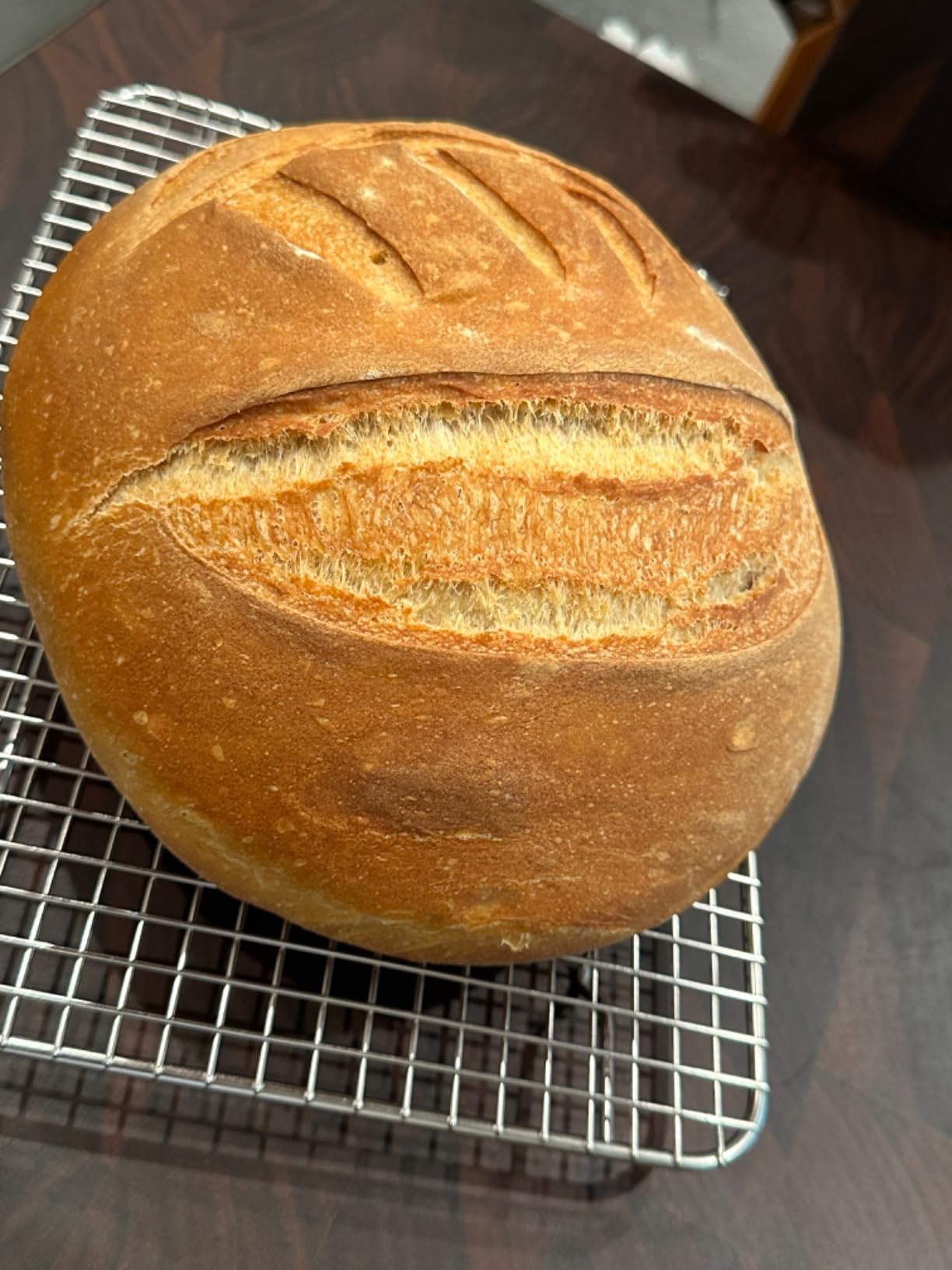 Le Creuset Enameled Cast Iron Signature Oval Bread Oven, 11.5 inch, Flame customer photo 2