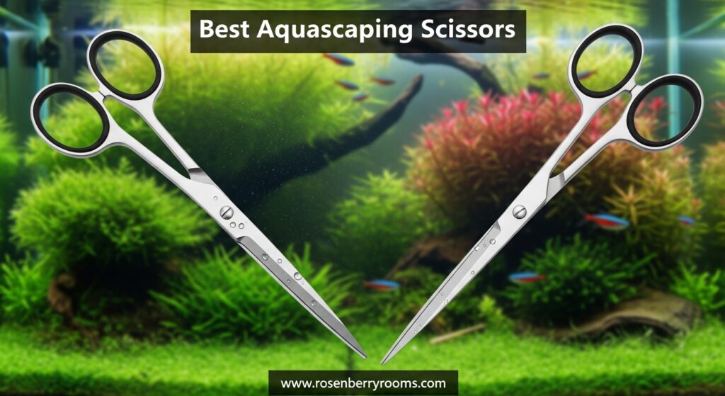 The current image has no alternative text. The file name is: Best-Aquascaping-Scissors.jpg