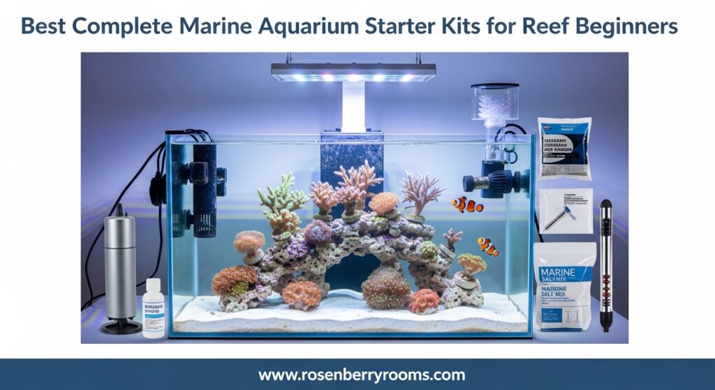 The current image has no alternative text. The file name is: Best-Complete-Marine-Aquarium-Starter-Kits-for-Reef-Beginners.jpg