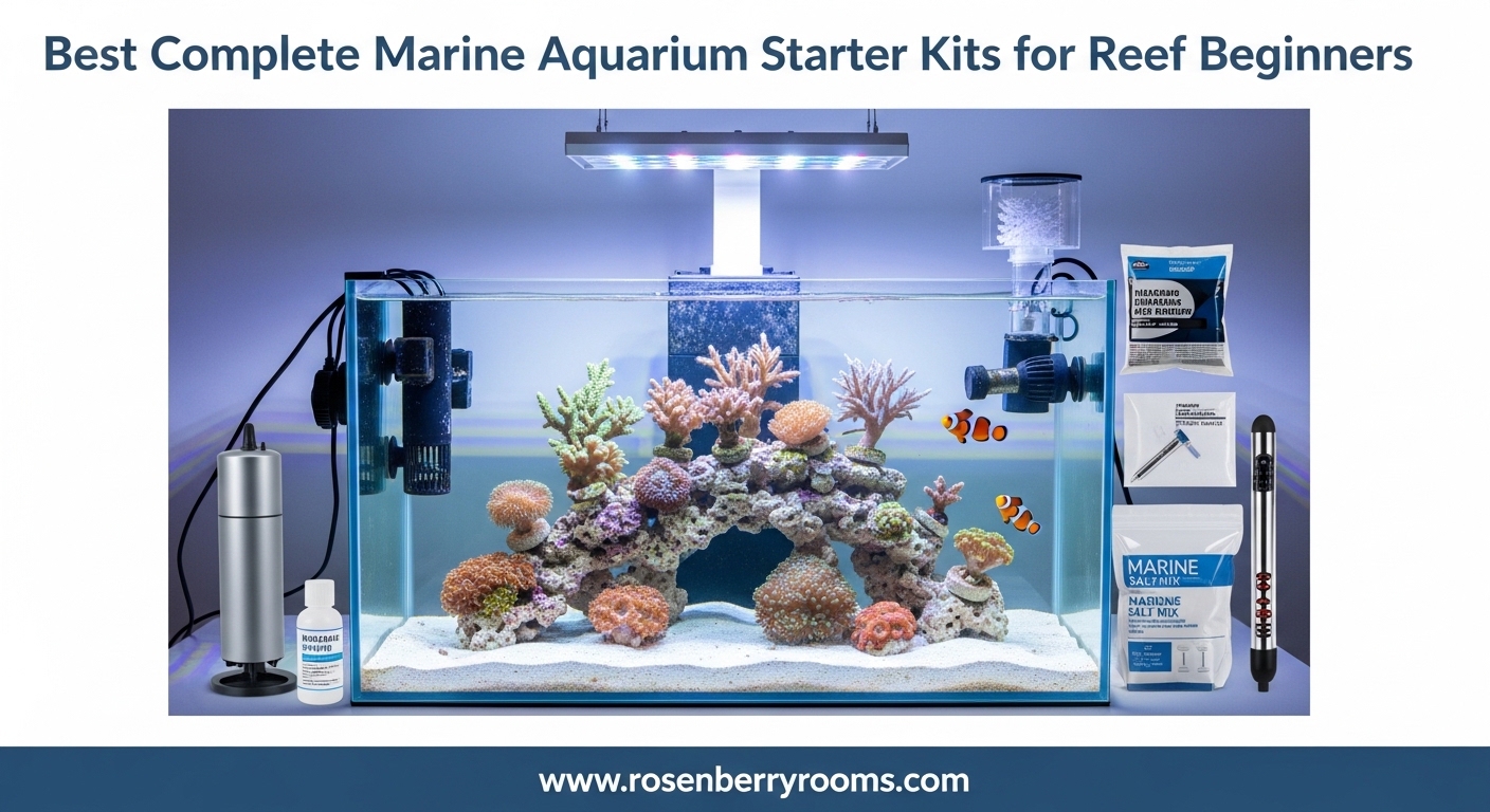 Best Complete Marine Aquarium Starter Kits for Reef Beginners