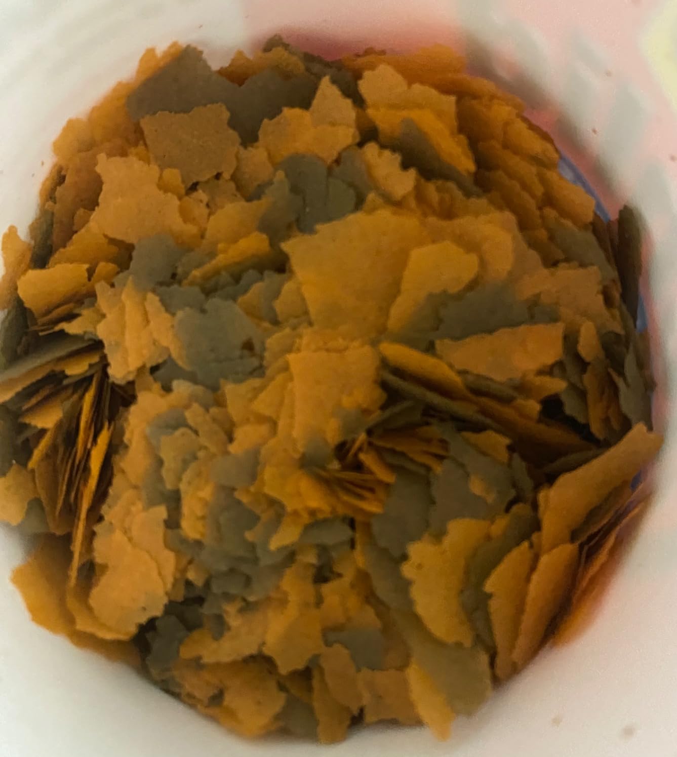 TetraCichlid Cichlid Flakes, Fish Food, Clear Water Advanced Formula, 5.65 Ounces customer photo 1