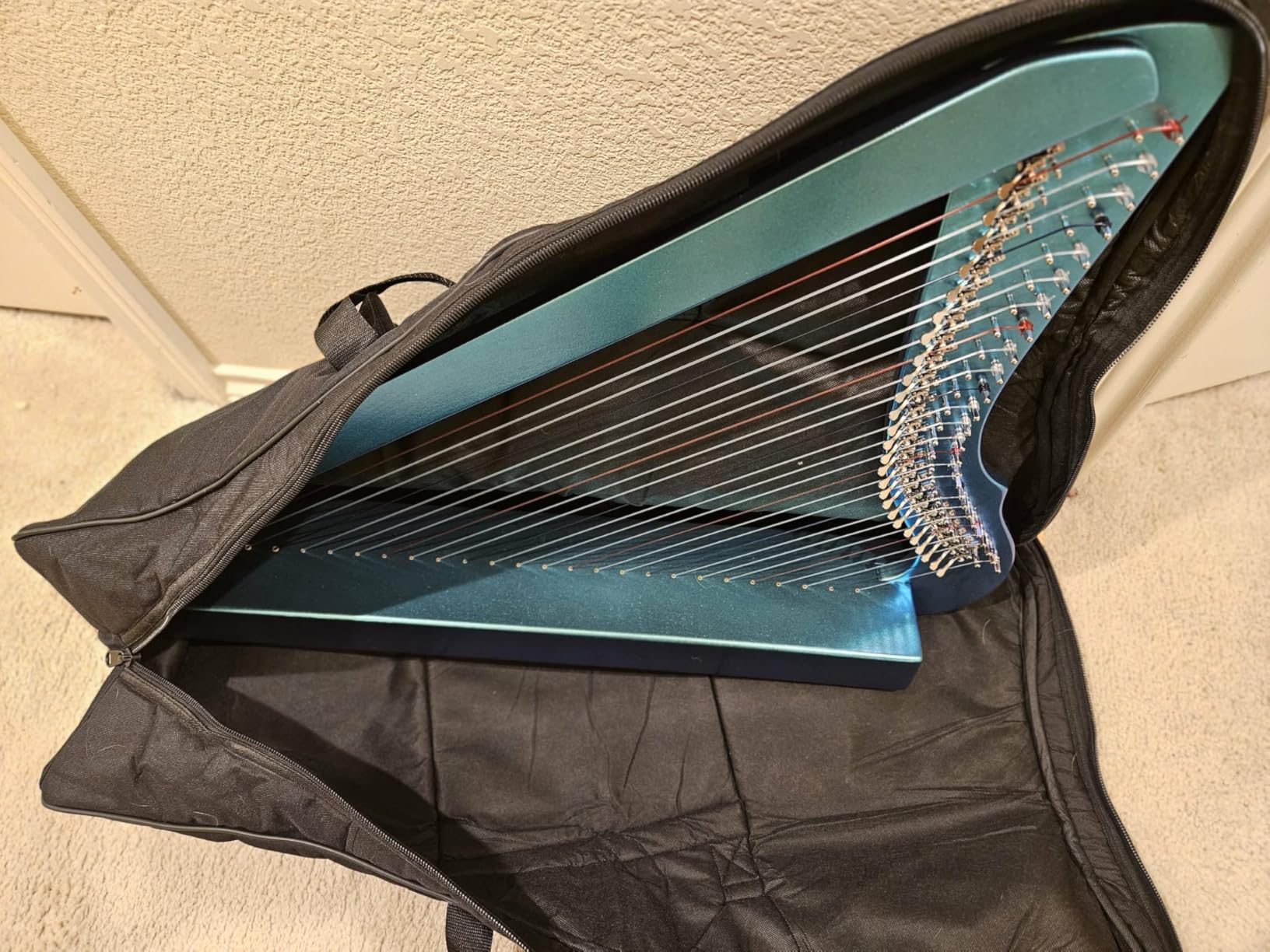 Nylon Padded Case for the Heather Harp customer photo 1