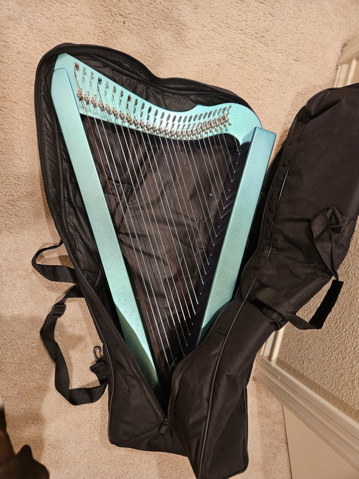 Nylon Padded Case for the Heather Harp customer photo 2