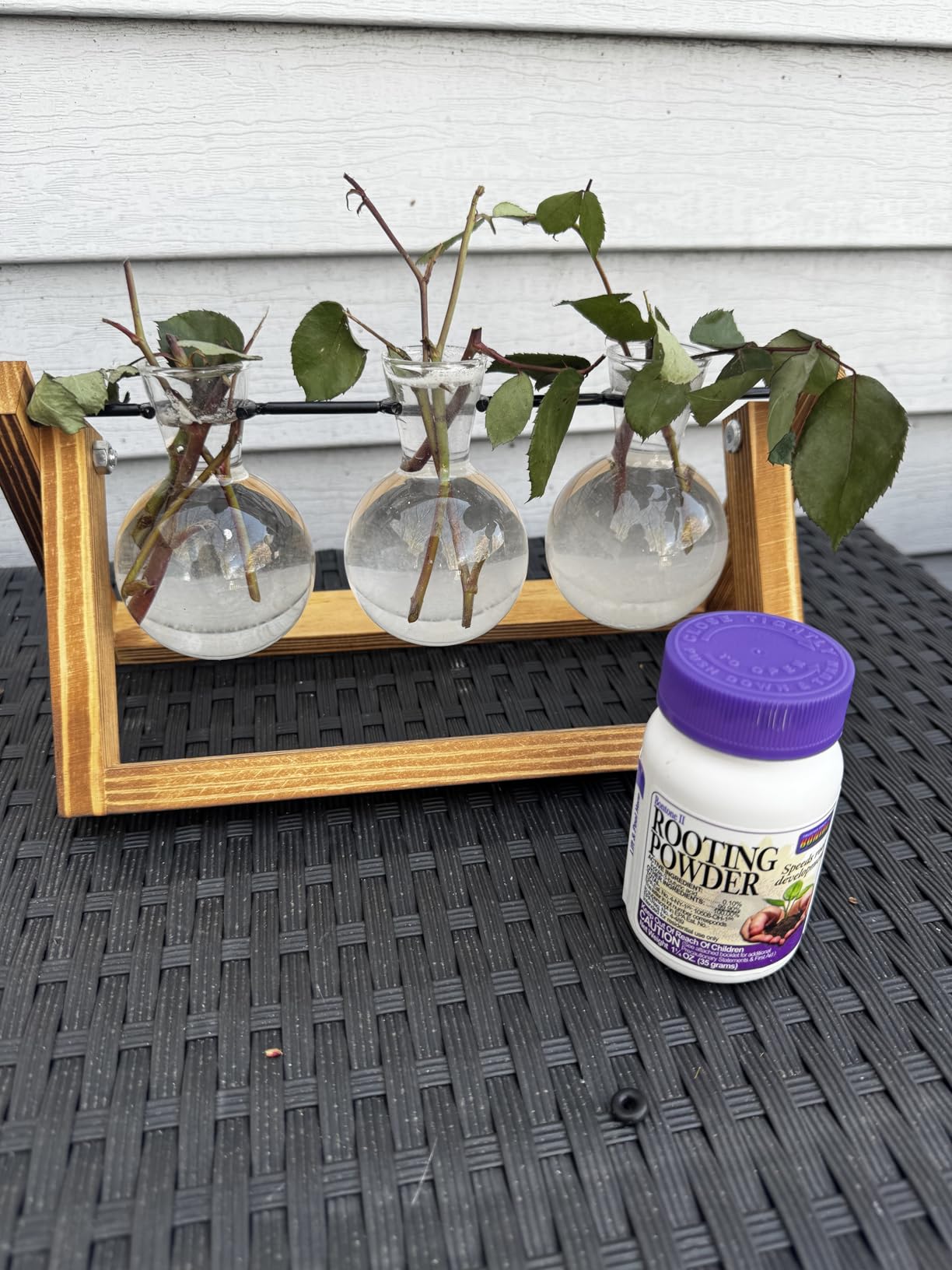 Bonide Bontone II Rooting Powder, 1.25 oz Ready-to-Use Dust for Houseplants and Transplants Speeds Root Development customer photo 1