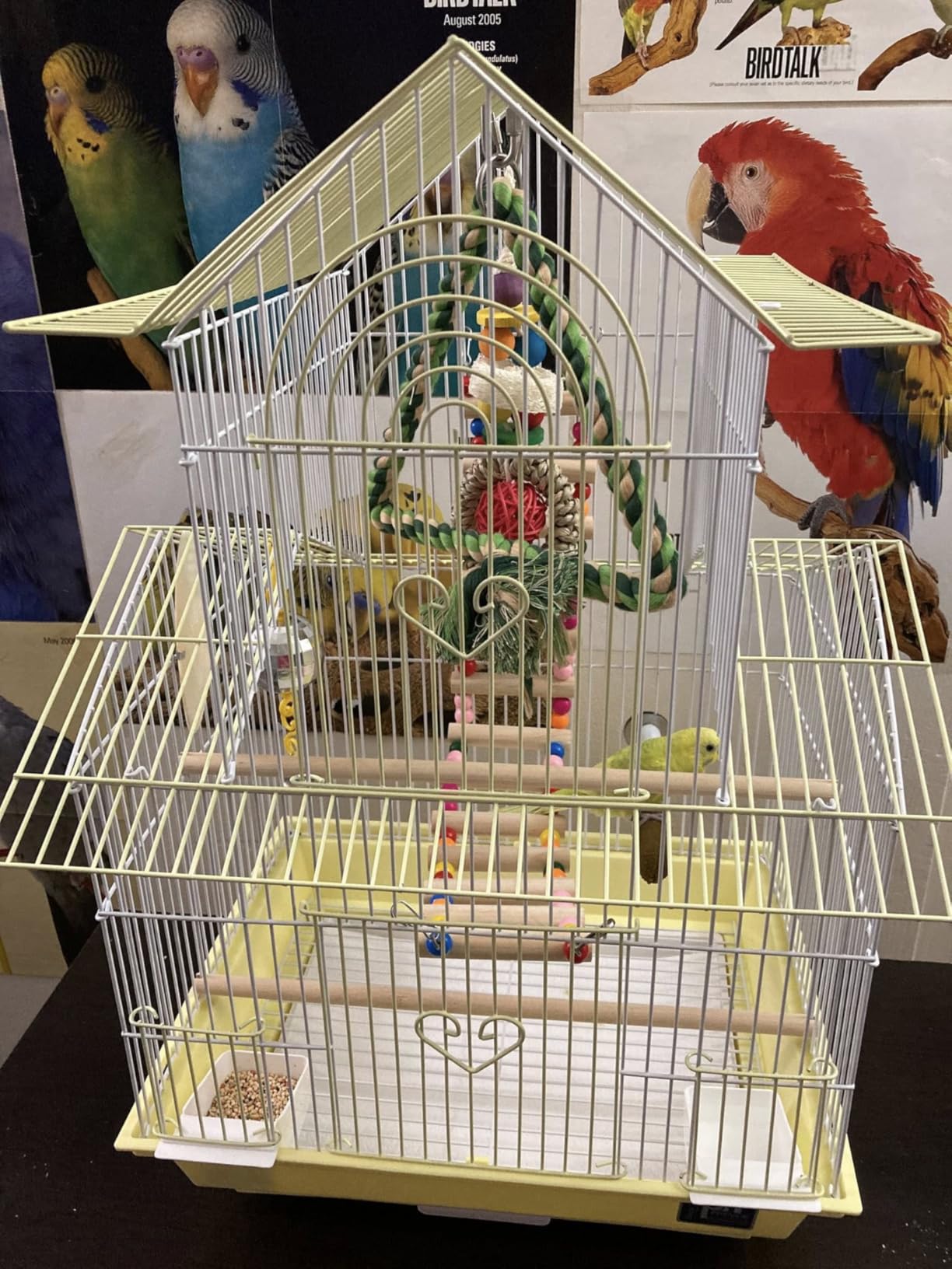 Prevue Hendryx SP1720-4 Shanghai Parakeet Cage, Green and White customer photo 2