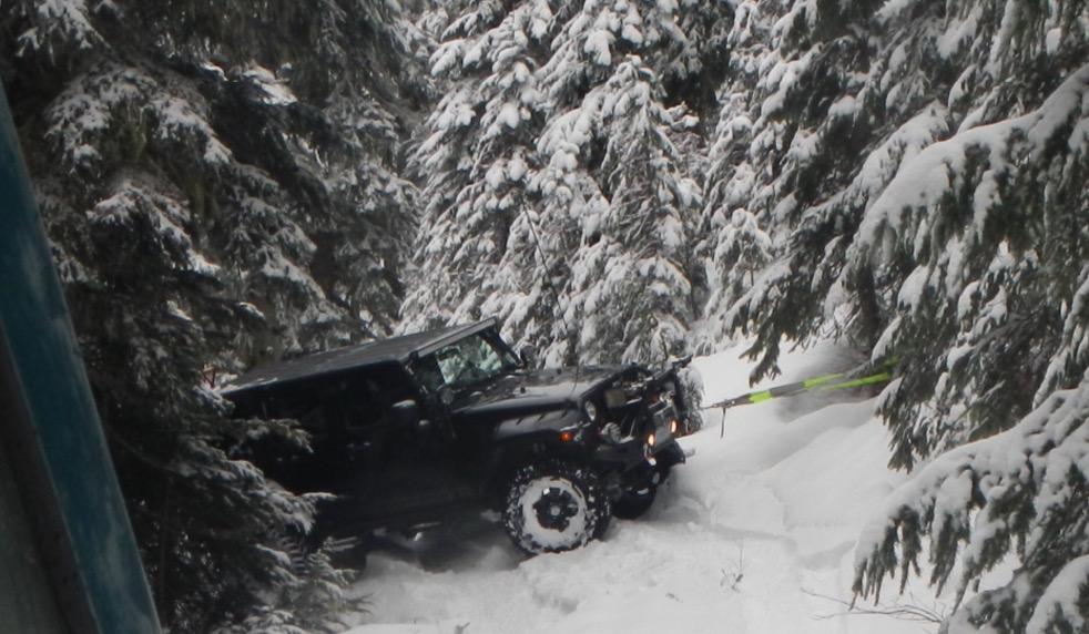 ARB730LB TREE TRUNK PROTECTOR 10 ft Breaking strength 26,000 lbs, 3 inch Width, 100% polyester customer photo 1