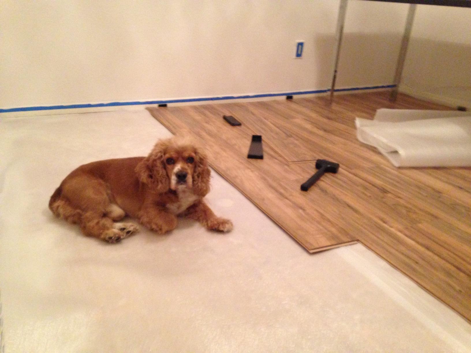 ROBERTS 10-35 Laminate and Vinyl 8