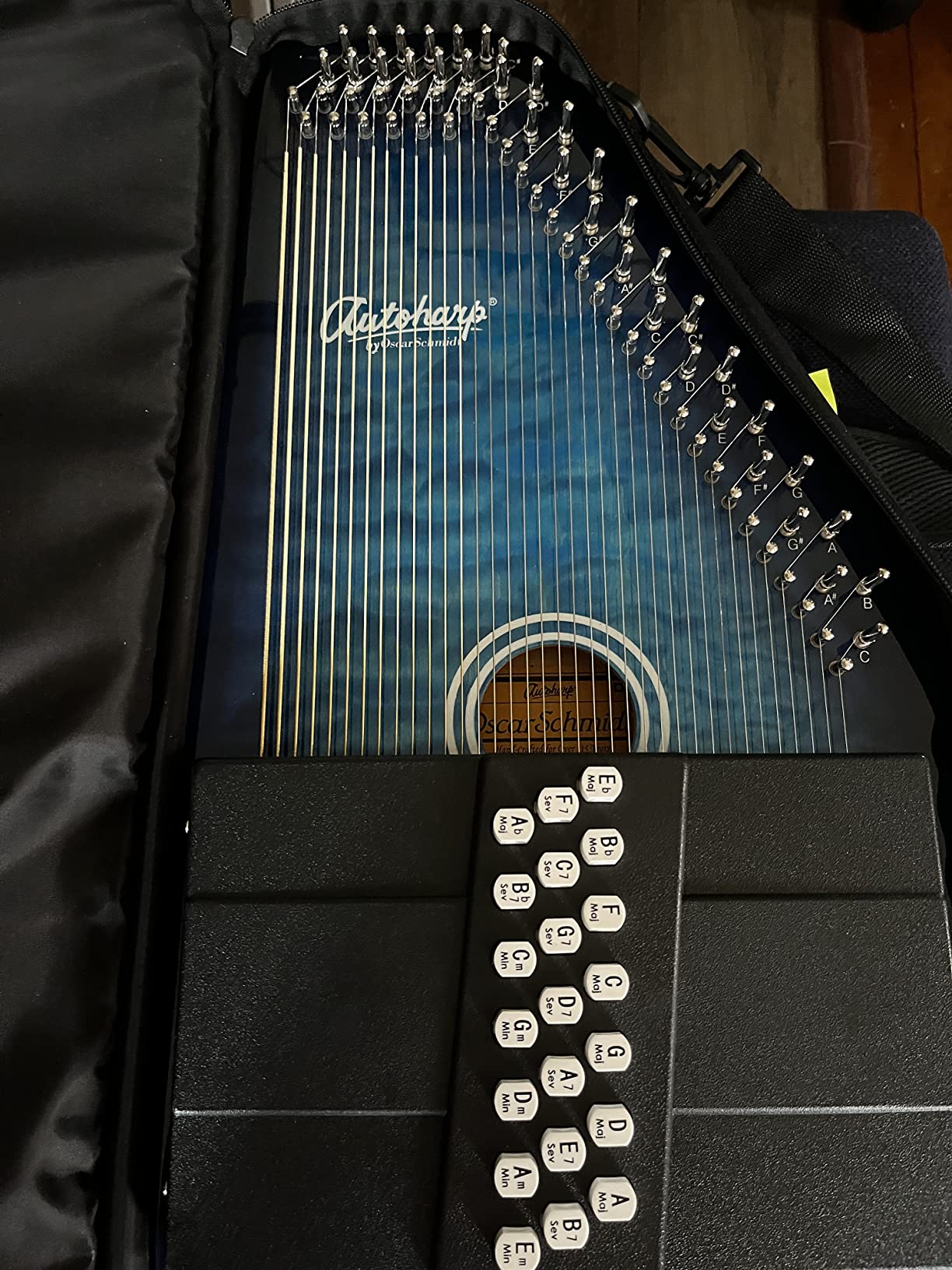 OS21CQTBL Autoharp customer photo 1