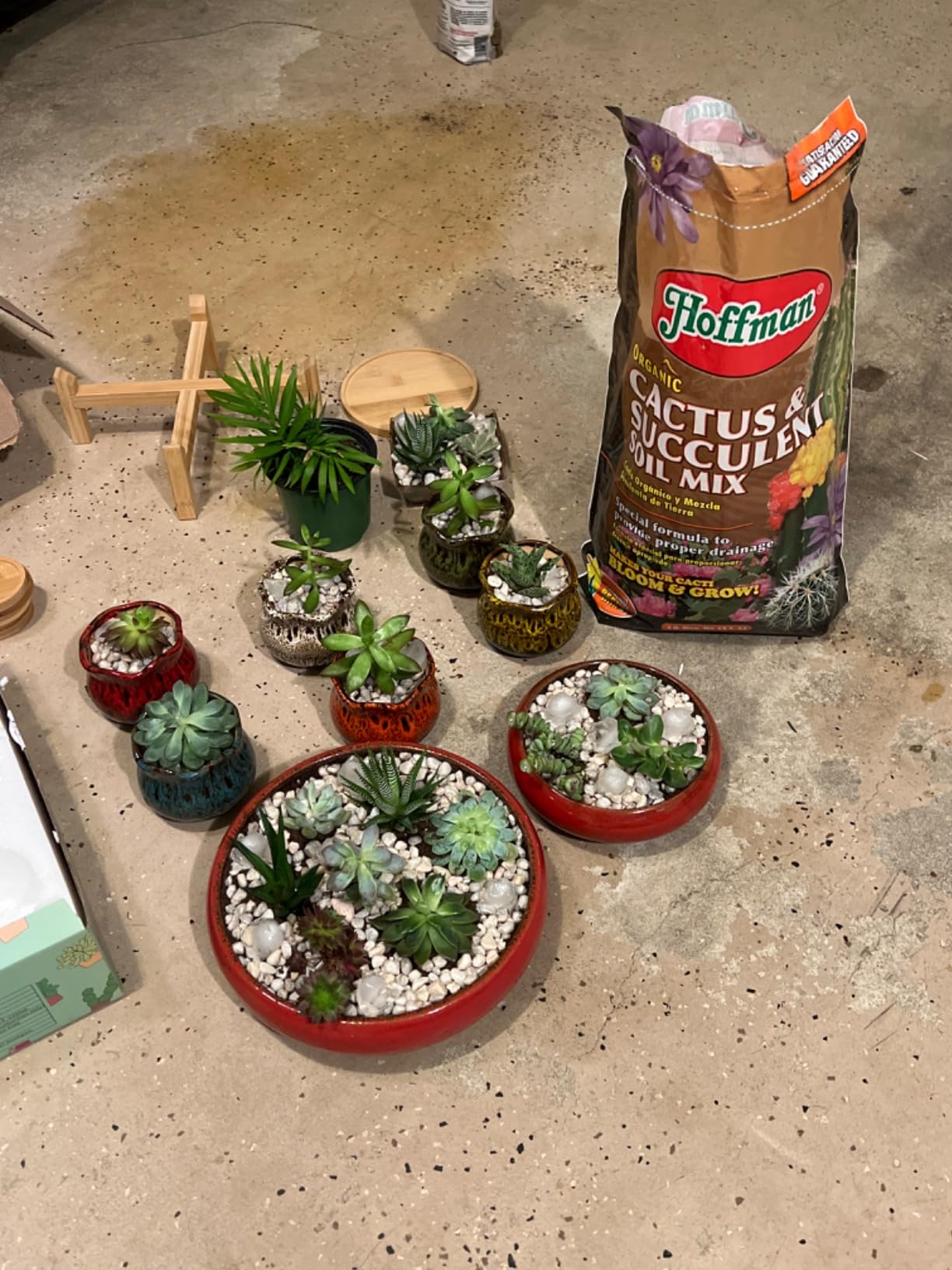 Hoffman 10410 Organic Cactus and Succulent Soil Mix, 10 Quarts customer photo 2