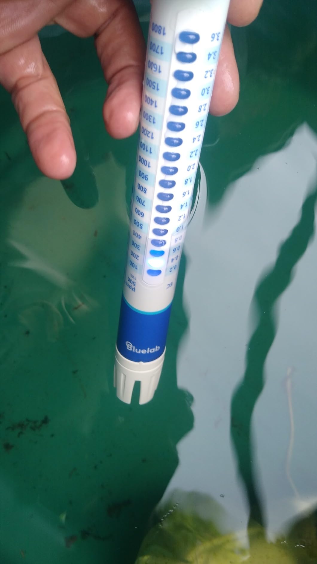 Bluelab TRUNV2 Truncheon Nutrient Meter, Digital Conductivity Tester in Water (Scales Include: EC, 500, ppm 700, CF, TDS) Tool for Hydroponic System and Indoor Plant Grow customer photo 2