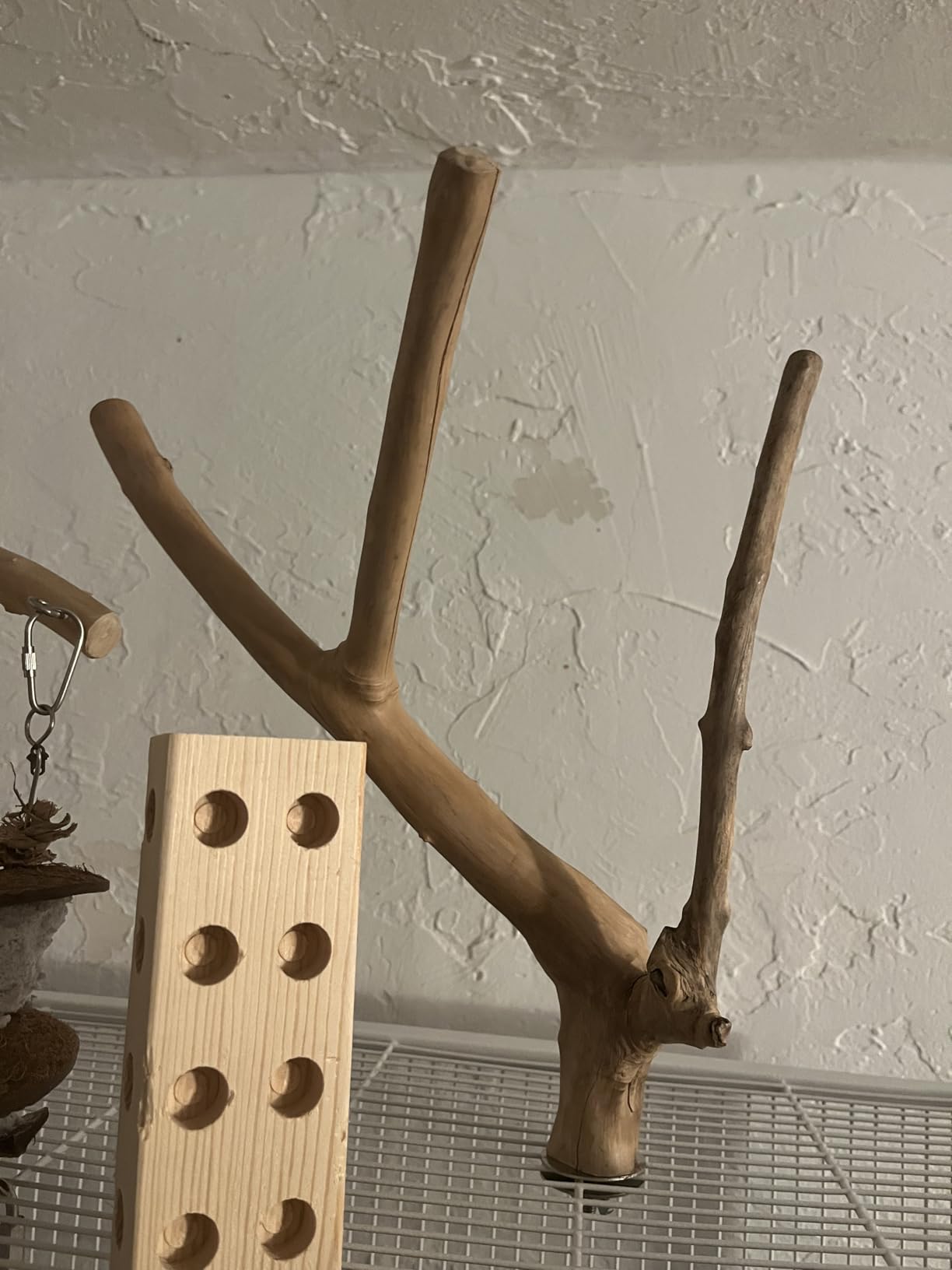 A&E Cage Co. Java Wood Multi Branch Perch - Small - 16 in. x 1.2 in. customer photo 1