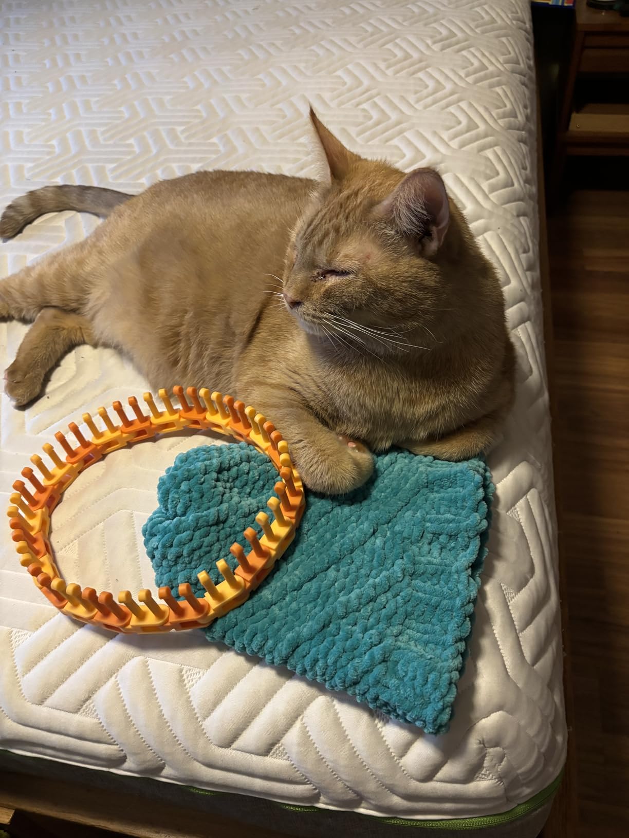 Authentic Knitting Board Flexee Loom Links Bitty, Fine Gauge, for Extra Thin Yarn, 72 Links, 148 pegs customer photo 2