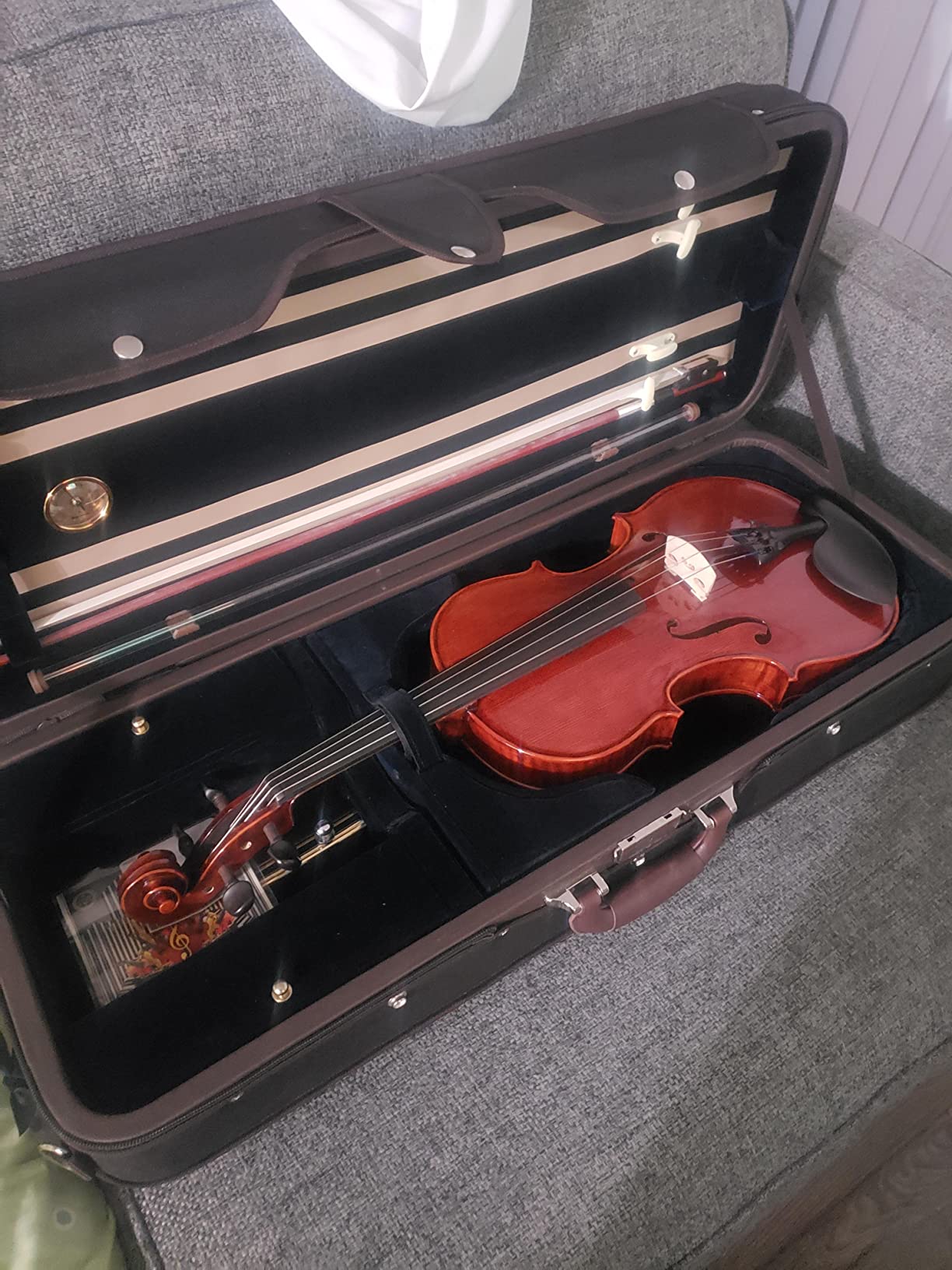 D'Luca PDZ02-15 15-Inch Orchestral Series Viola Outfit customer photo 1