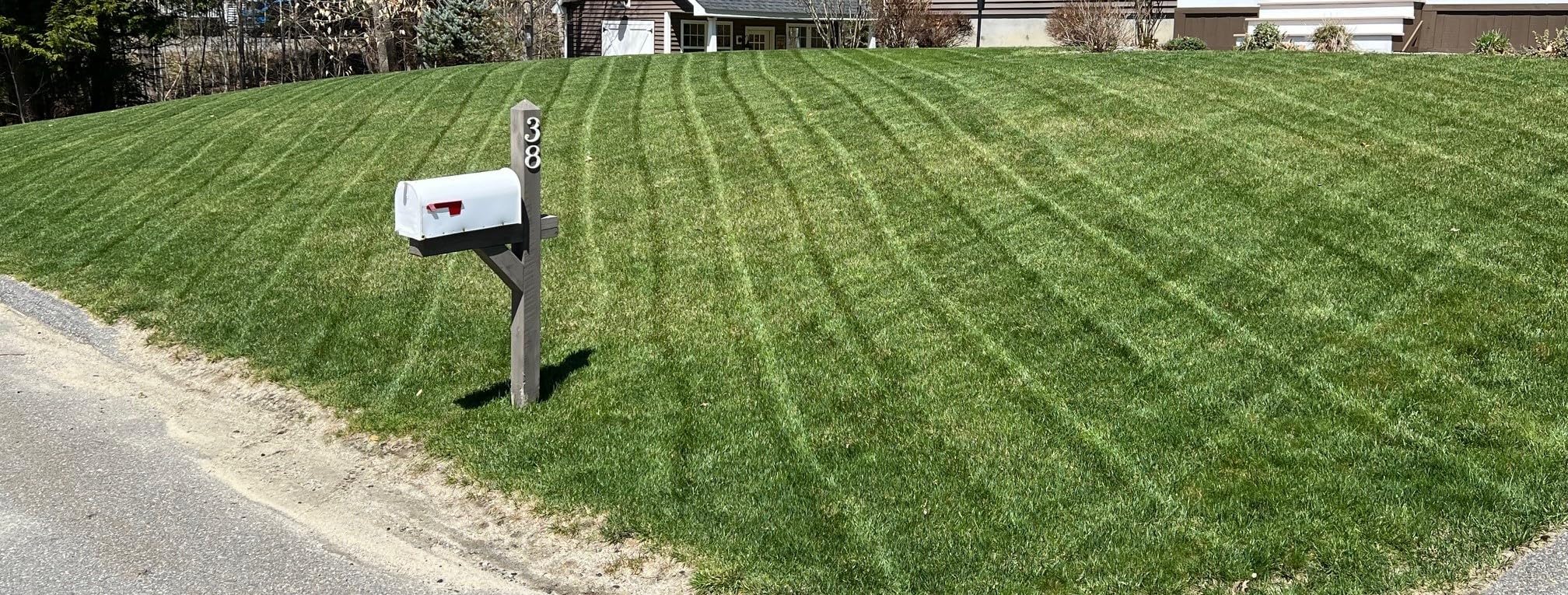 Scotts GrubEx1 - Grub Killer for Lawns, Kills White Grubs, Sod Webworms and Larvae of Japanese Beetles & More, Lawn Treatment for Season Long Grub Control, Treats up to 10,000 sq. ft., 28.7 lb. customer photo 1