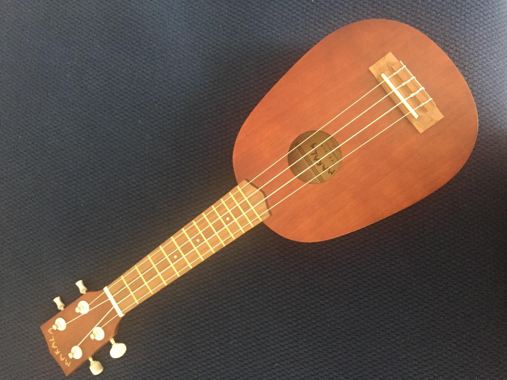 Kala MK-C Makala Concert Ukulele Bundle with Gig Bag, Tuner, Strap, Aquila Strings, Online Lessons, Austin Bazaar Instructional DVD, and Polishing Cloth customer photo 2