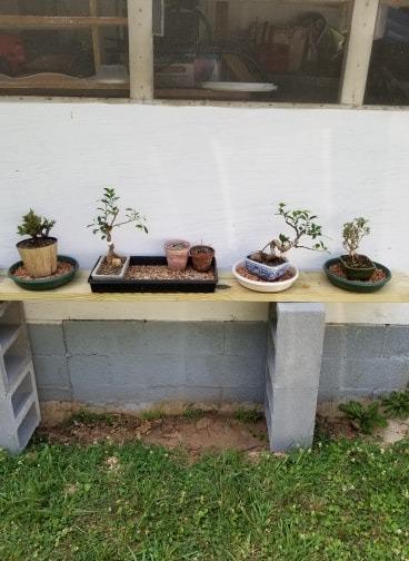 BambooMN Bonsai 4 Branch Benders Set for Bonsai Plants customer photo 1