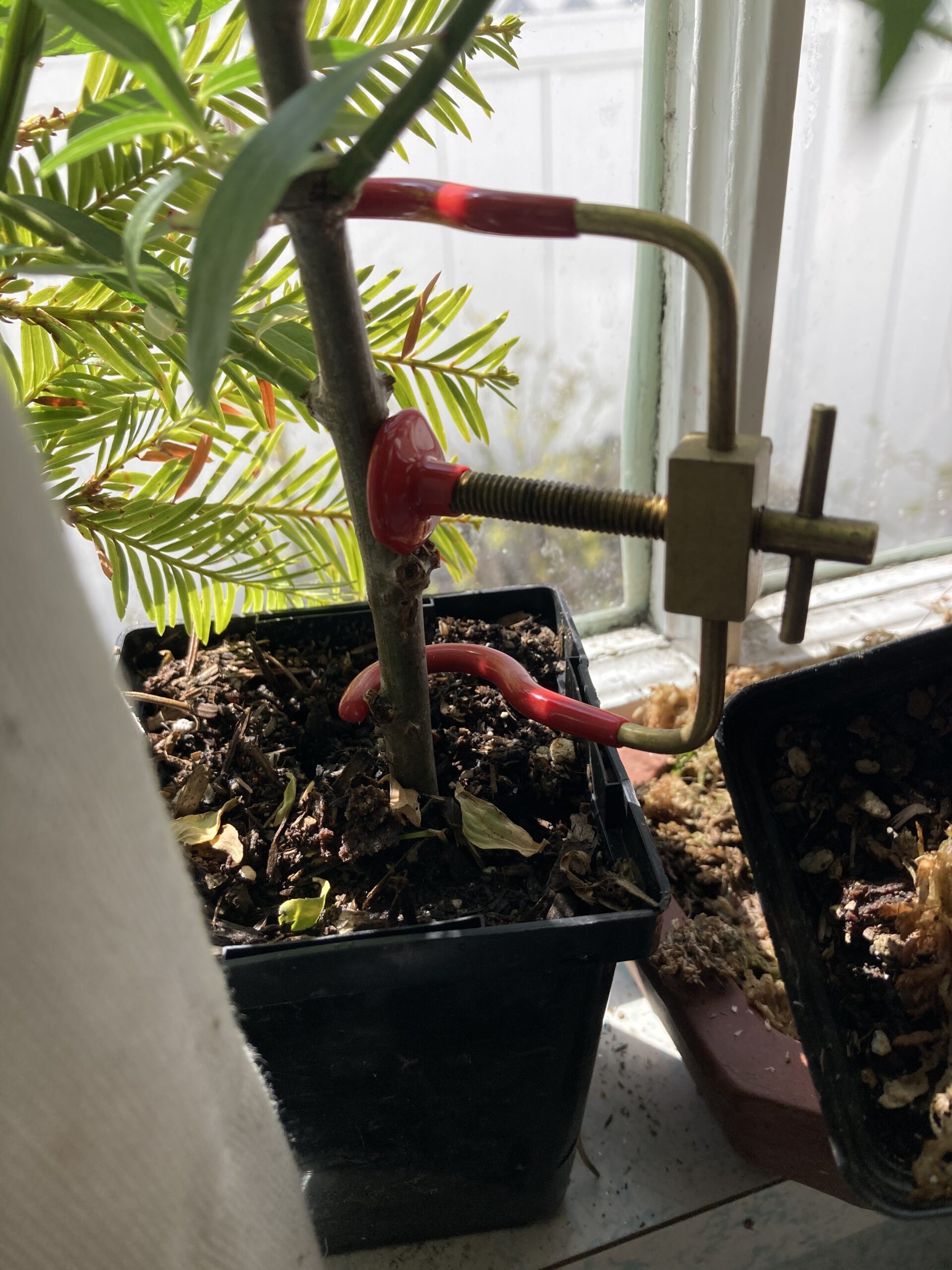 BambooMN Bonsai 4 Branch Benders Set for Bonsai Plants customer photo 2