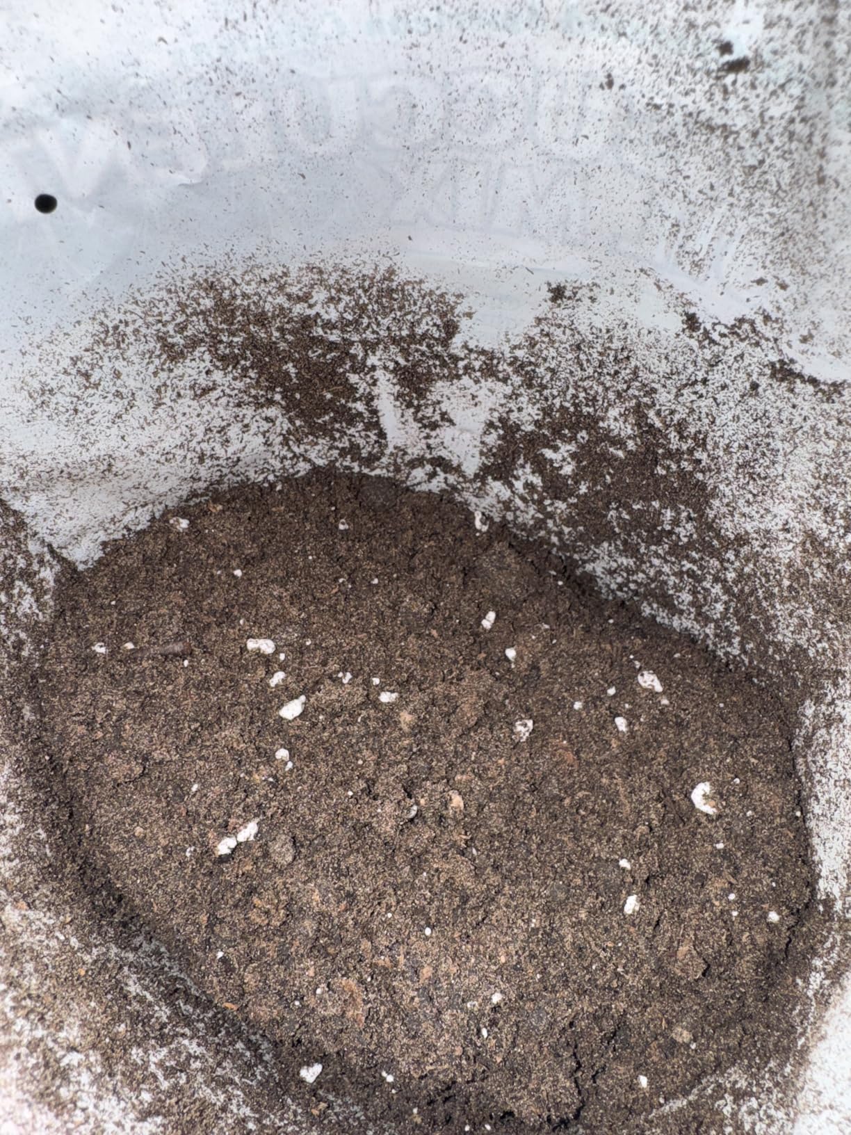 Hoffman 10404 Organic Cactus and Succulent Soil Mix, 4 Quarts customer photo 2