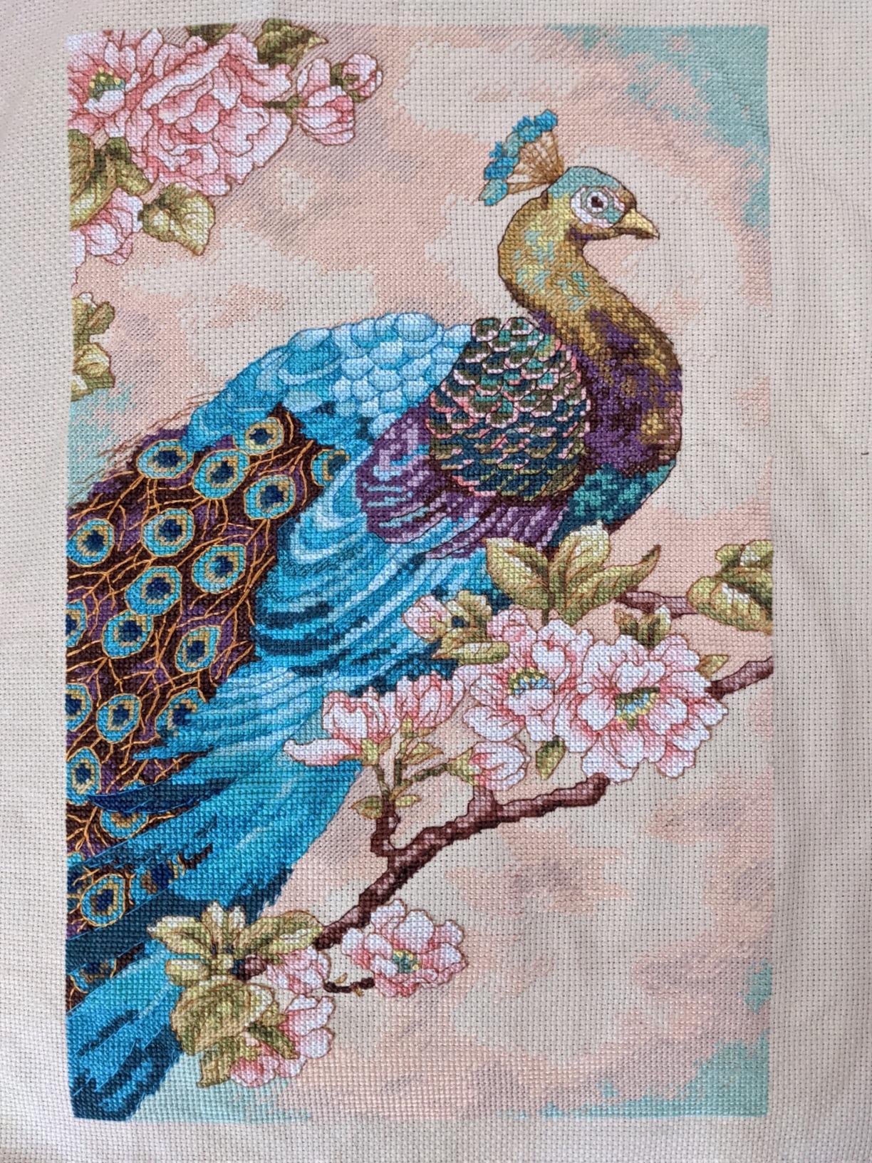 Dimensions Indian Peacock Counted Cross Stitch Kit, 14 Count Natural Aida, 9'' x 15'' customer photo 2