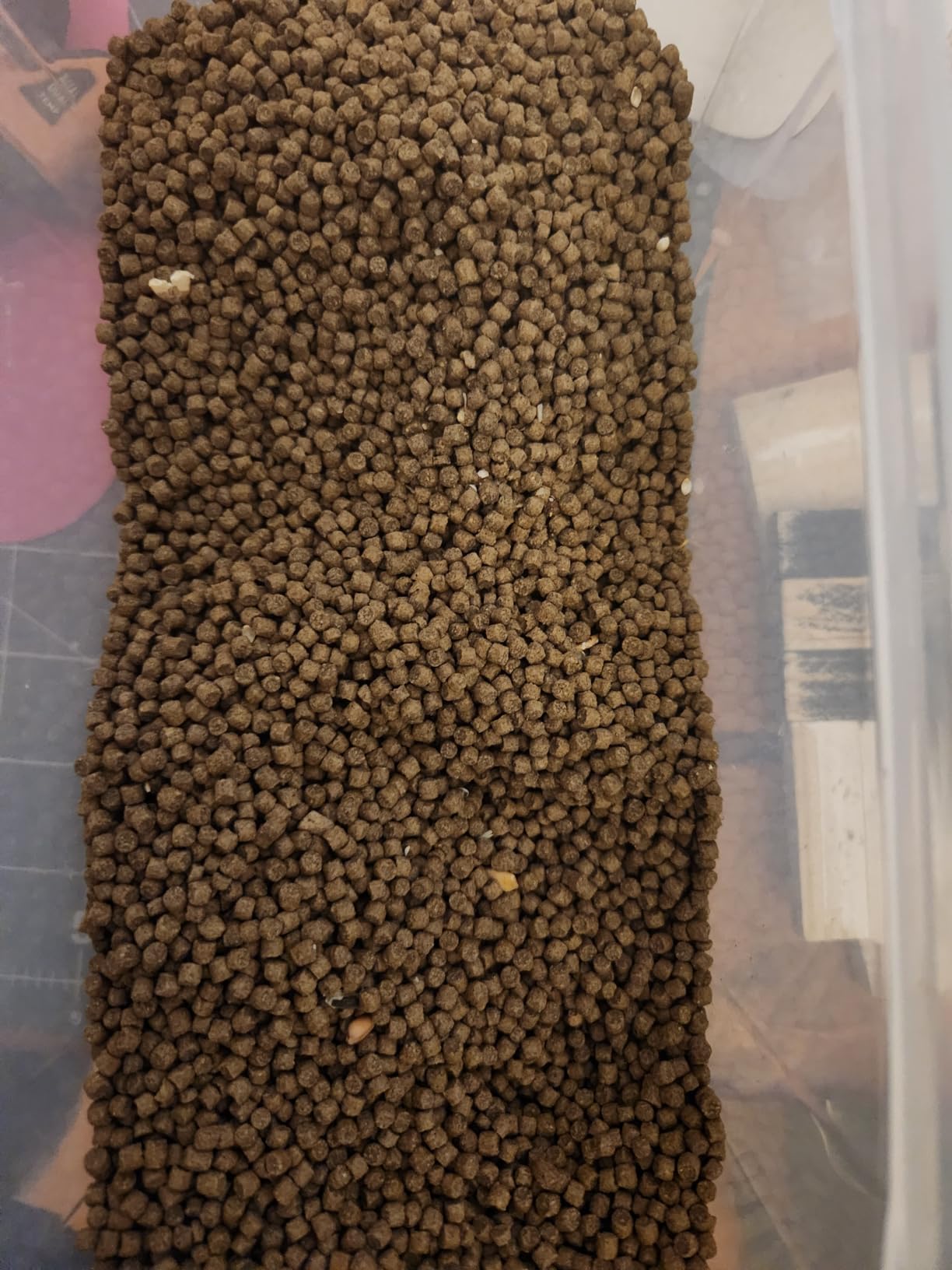 Aqueon Cichlid Slow Sinking Fish Food Pellets, Medium Size, 25 Ounce customer photo 2