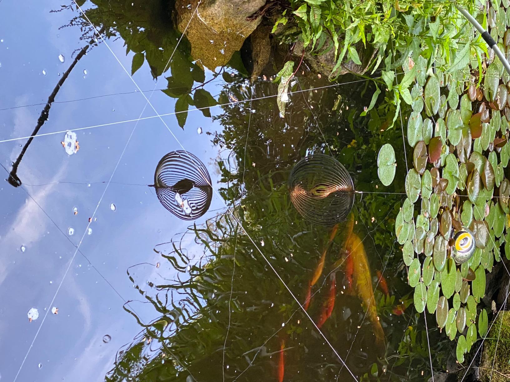 Velda Heron Stop Spinner customer photo 2