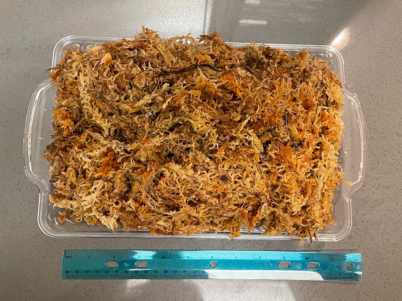 besgrow Premium New Zealand Sphagnum Moss, 100g (8L When Hydrated) - Harvested Sustainably from The Pristine West Coast of New Zealand's South Island customer photo 1