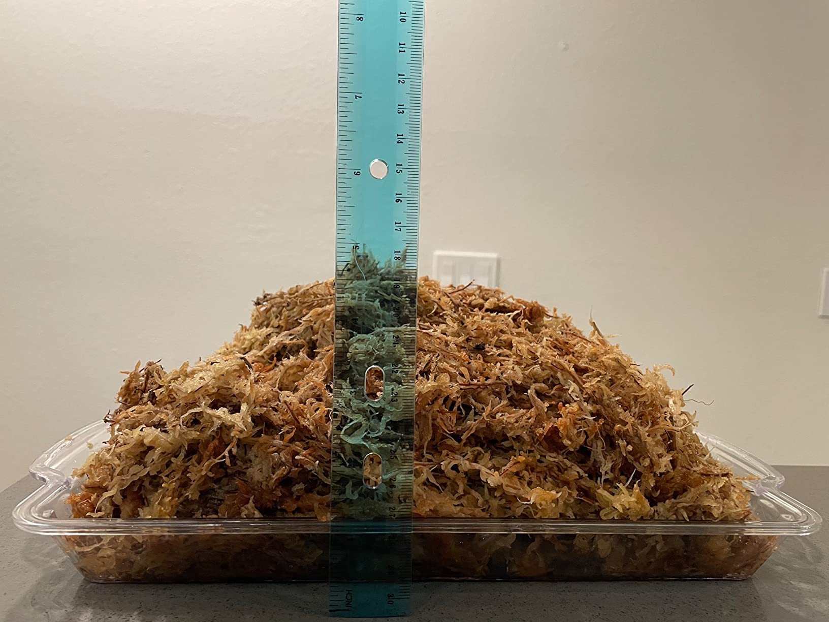 besgrow Premium New Zealand Sphagnum Moss, 100g (8L When Hydrated) - Harvested Sustainably from The Pristine West Coast of New Zealand's South Island customer photo 2