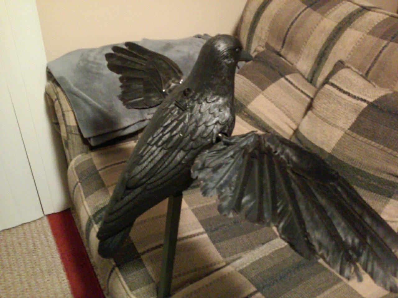 MOJO Outdoors Crow Decoy - Motion Crow Decoy with Magnetic Wings - Mimics Crow Fighting Behavior - 6 AA Battery Powered - Lightweight Design for Easy Setup - Attracts Crows from Farther Distances customer photo 1