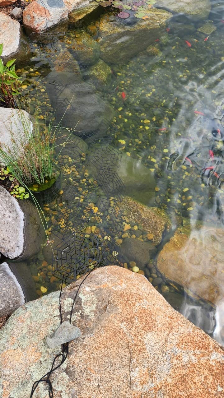 Bird B Gone Pond Defender (12 Pack) - Floating Koi Pond Cover & Heron Deterrent, UV-Protected Interlocking Discs for Fish Pond Protection - Alternative to Pond Netting for Koi Ponds & Water Gardens customer photo 2