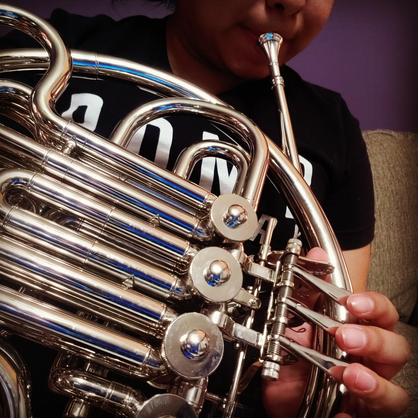 Pro Silver Double French Horn Brand New customer photo 1