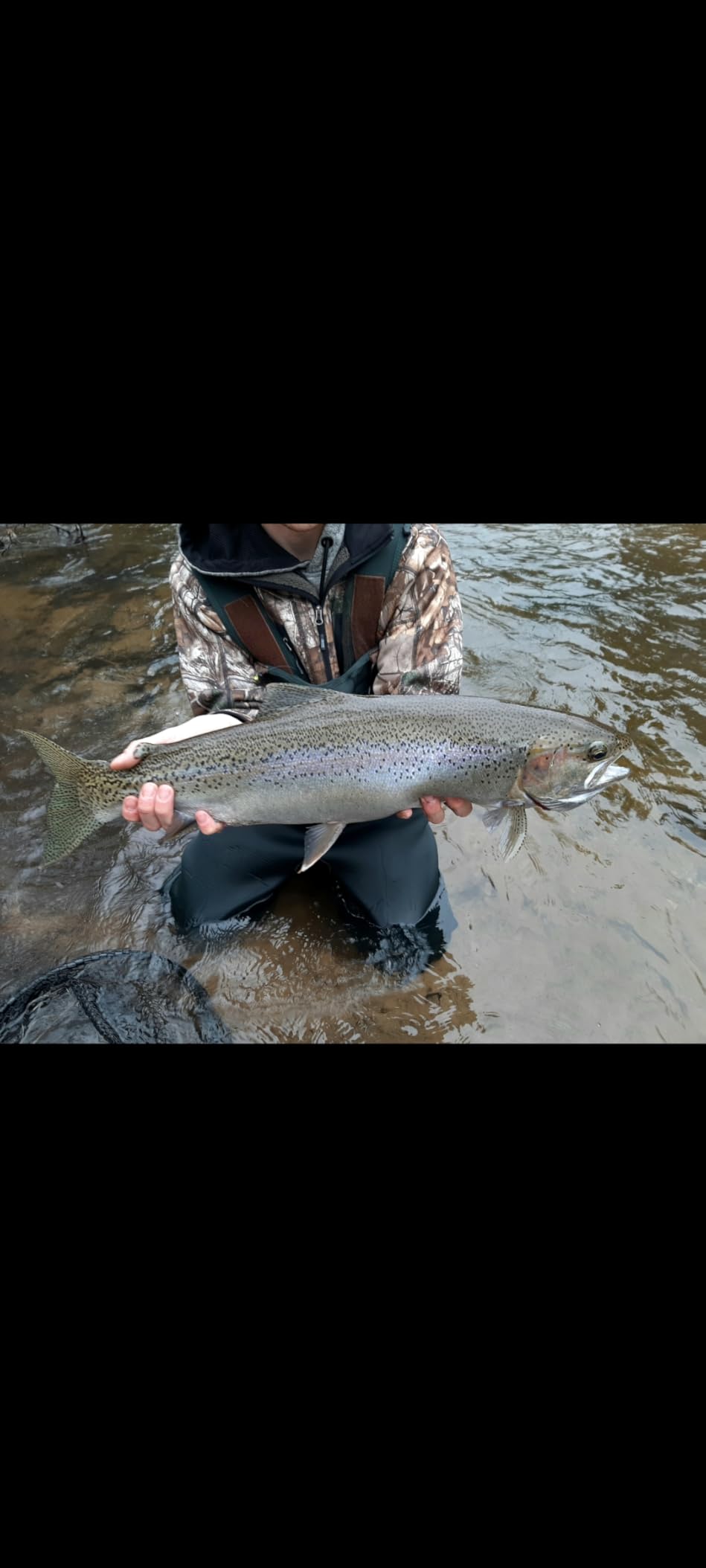 Seaguar STS Trout/Steelhead Freshwater 100% Fluorocarbon Fishing Line Leader, Multiple Sizes customer photo 1