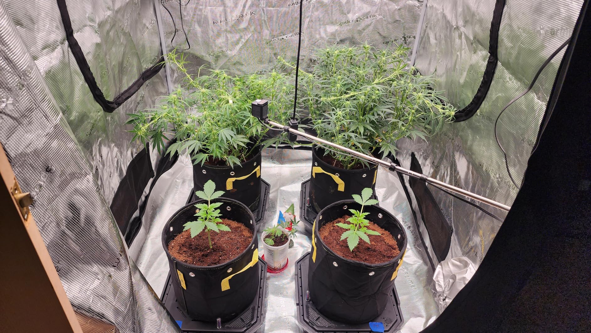 General Hydroponics CALiMAGic Quart customer photo 1