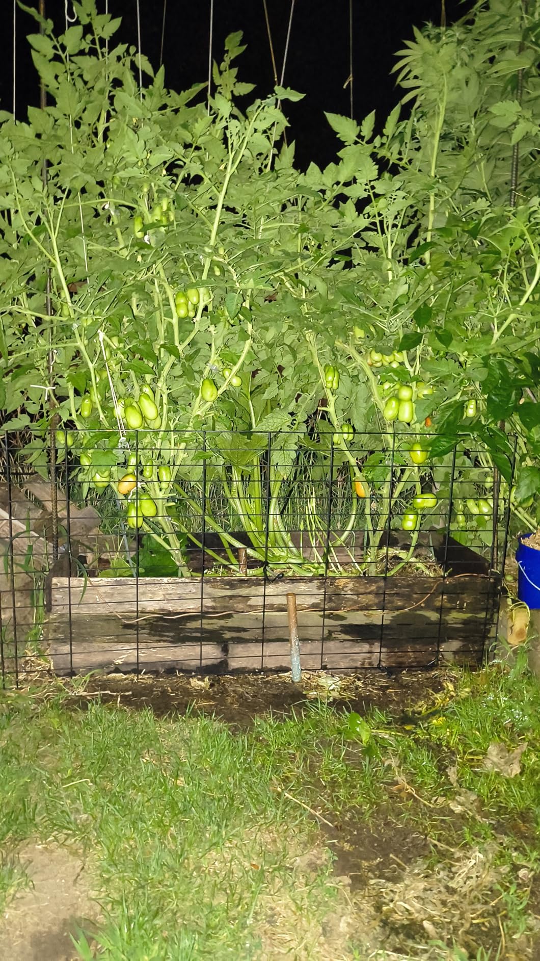 General Hydroponics CALiMAGic Quart customer photo 2
