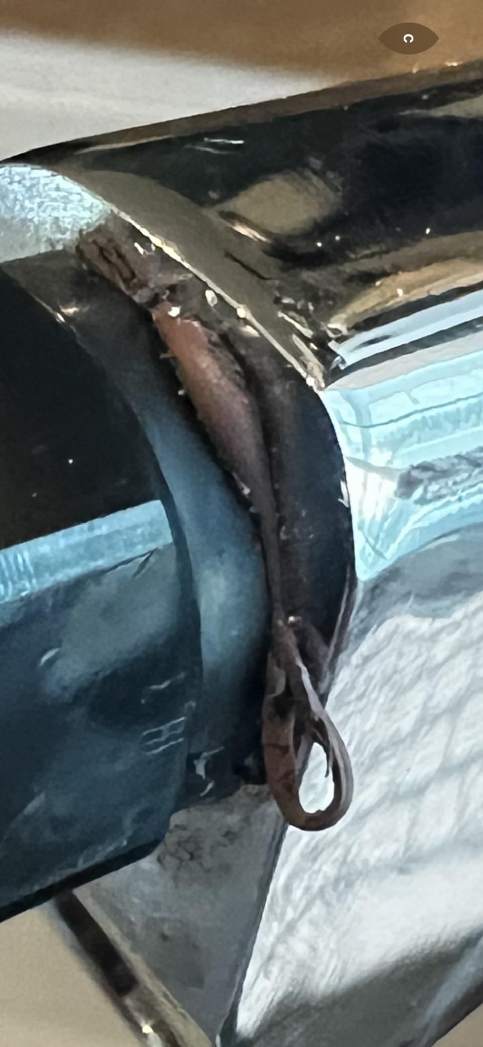 XS Scuba HP Splitter customer photo 2