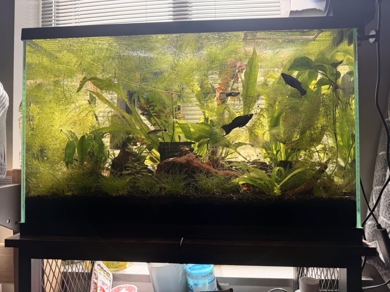 Fluval 12694 Plant and Shrimp Stratum for Freshwater Fish Tanks, 8.8 lbs. - Aquarium Substrate for Strong Plant Growth, Supports Neutral to Slightly Acidic pH customer photo 2