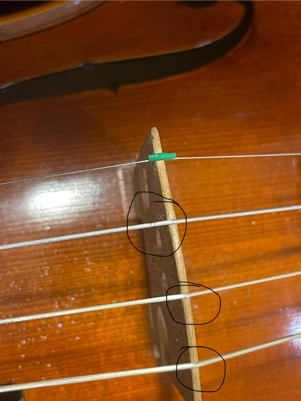 D'Addario Kaplan Amo Violin Strings - Full Set - KA310 4/4M - 4/4 Scale, Medium Tension customer photo 1